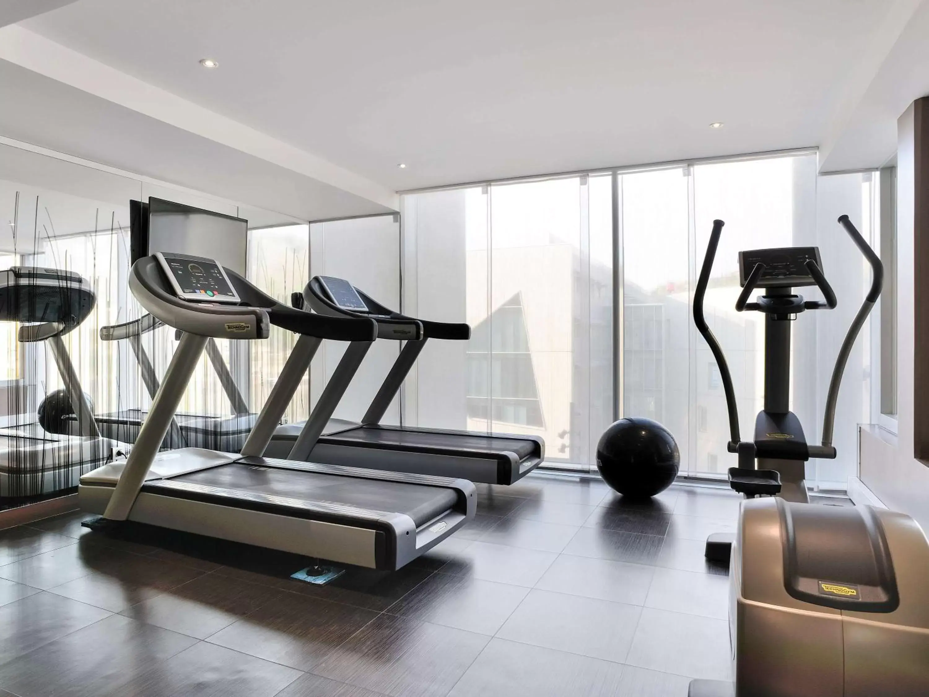 Activities, Fitness Center/Facilities in Novotel Lyon Confluence