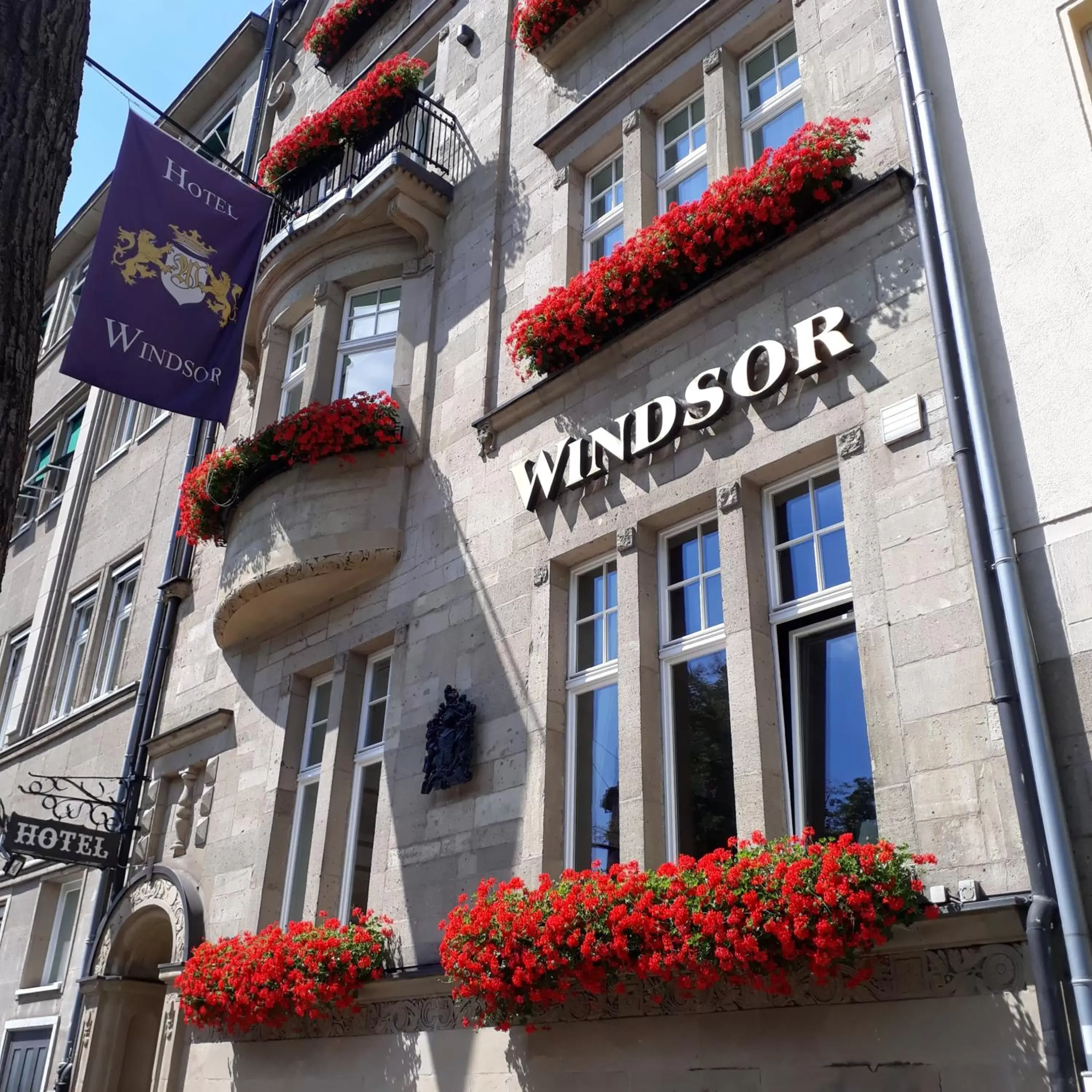 Facade/entrance in Hotel Windsor