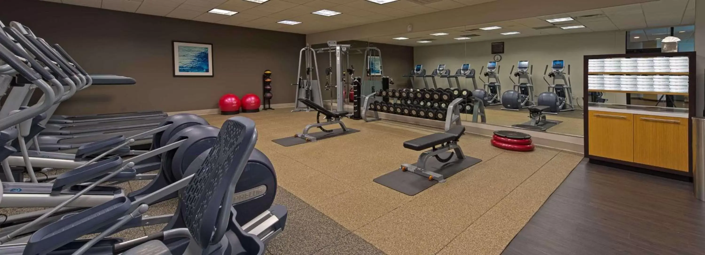 Fitness centre/facilities, Fitness Center/Facilities in Hilton Albany