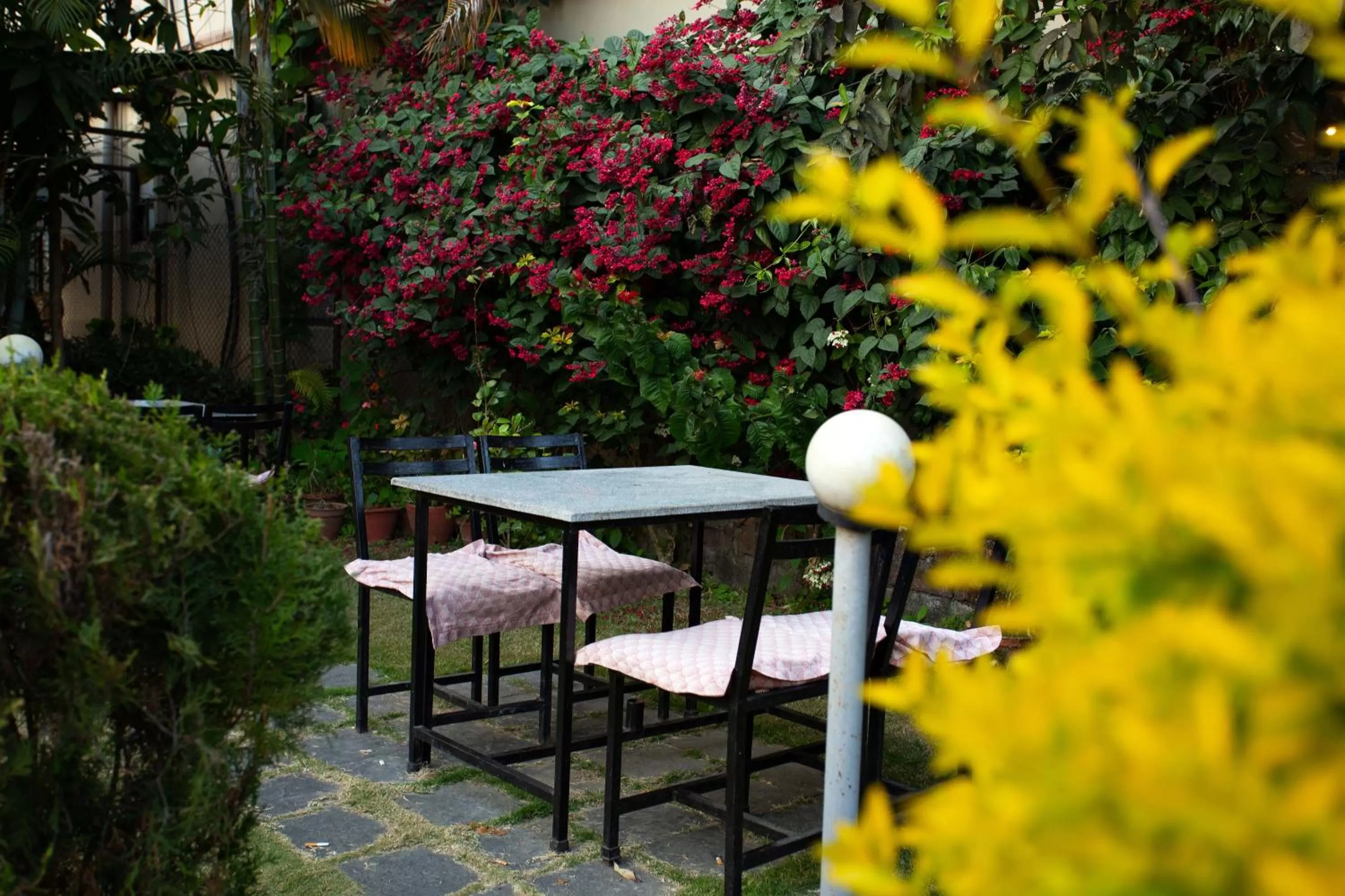 Patio in Hotel Orchid