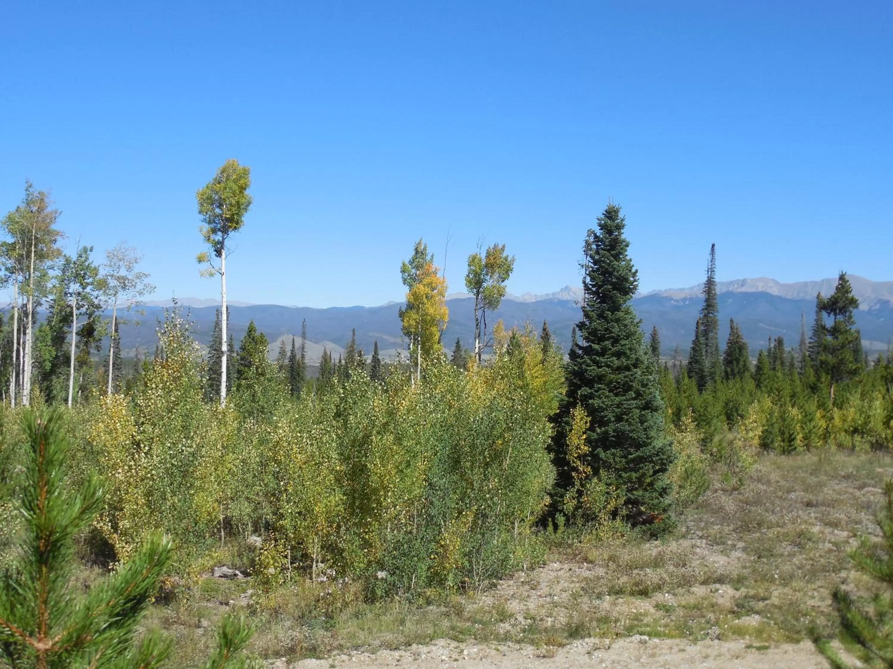 View (from property/room) in The Viking Lodge - Downtown Winter Park Colorado