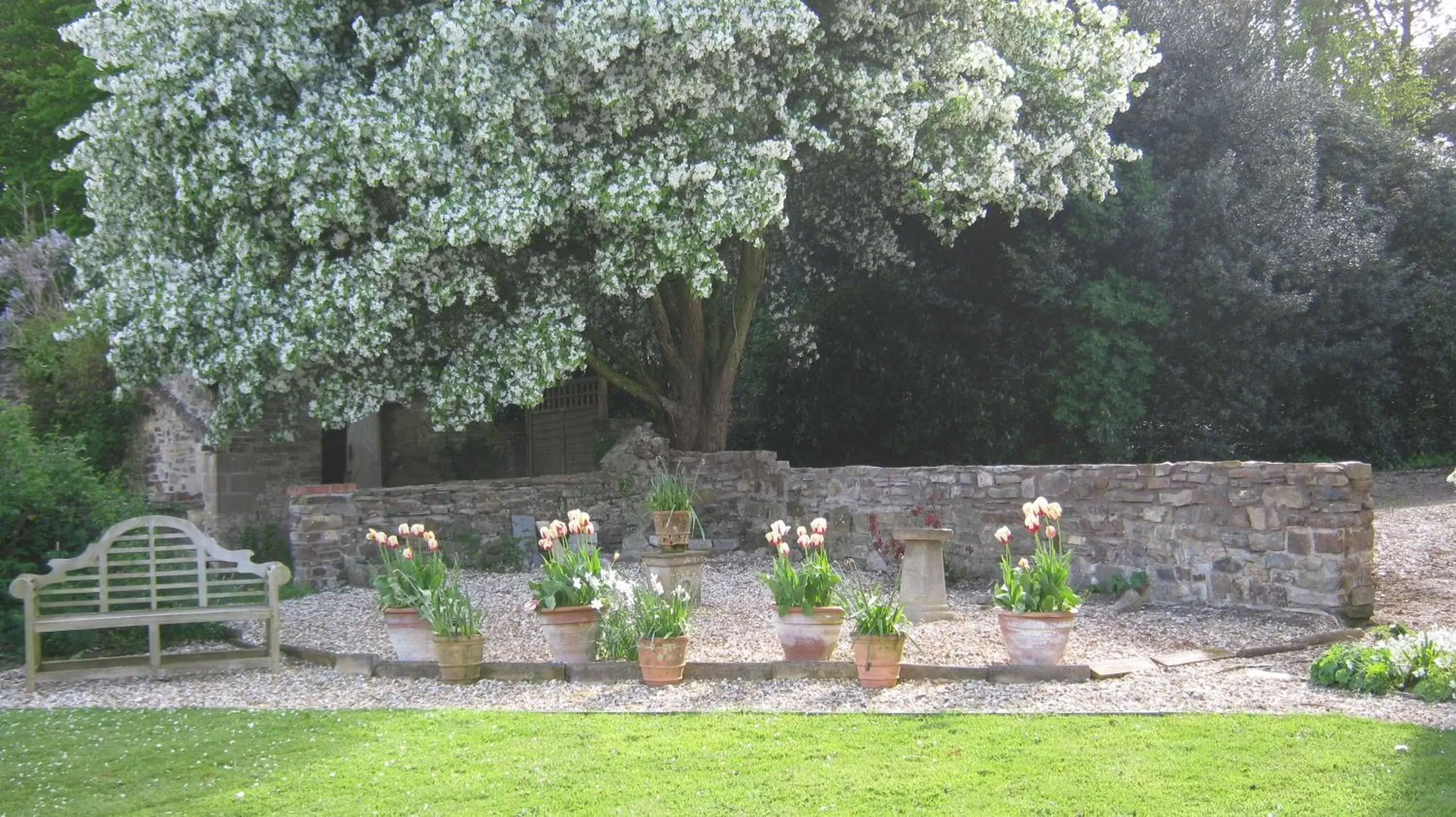 Garden in Hollamoor Farm