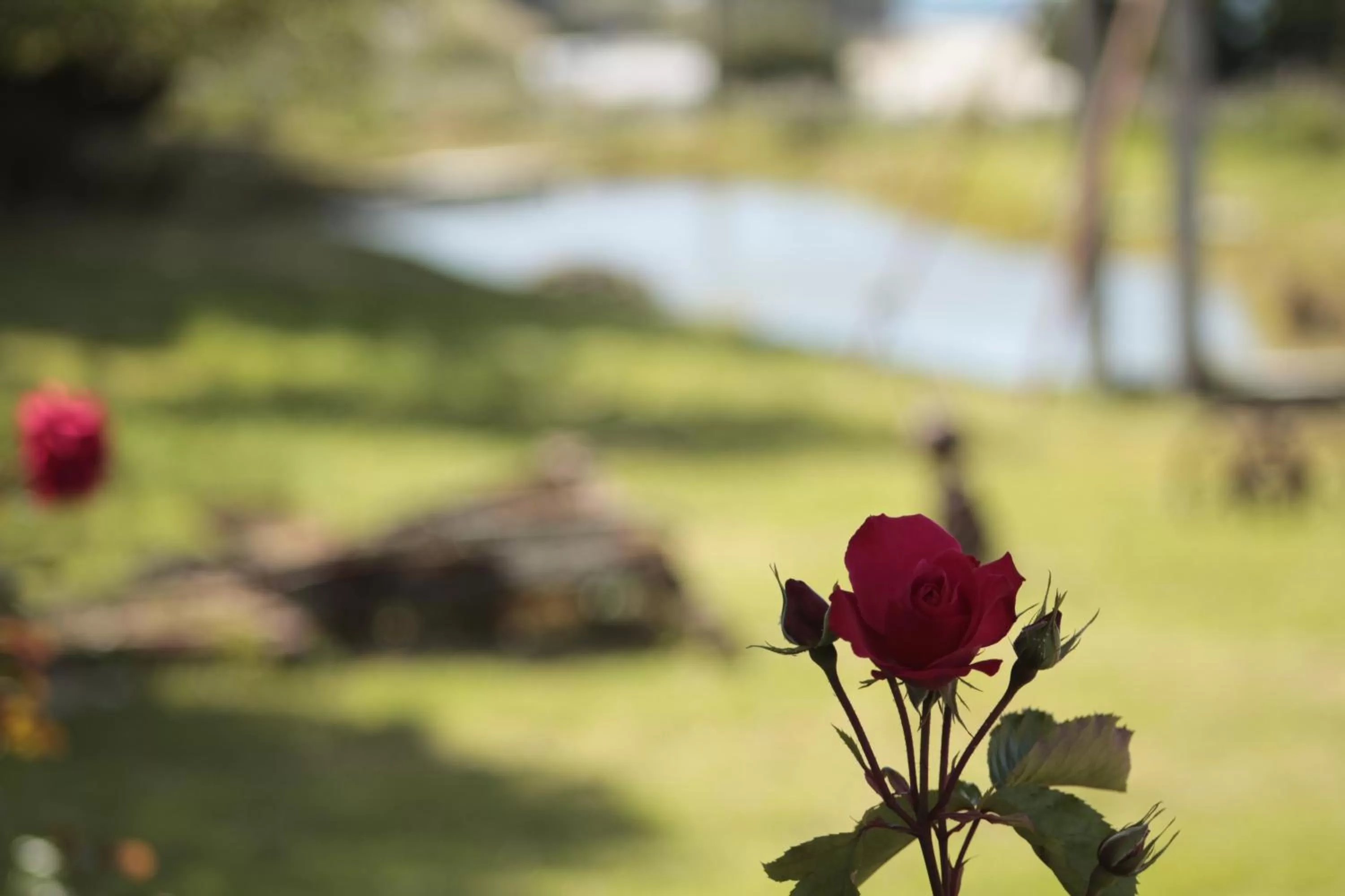 Spring in Hospedaje Isla Magdalena
