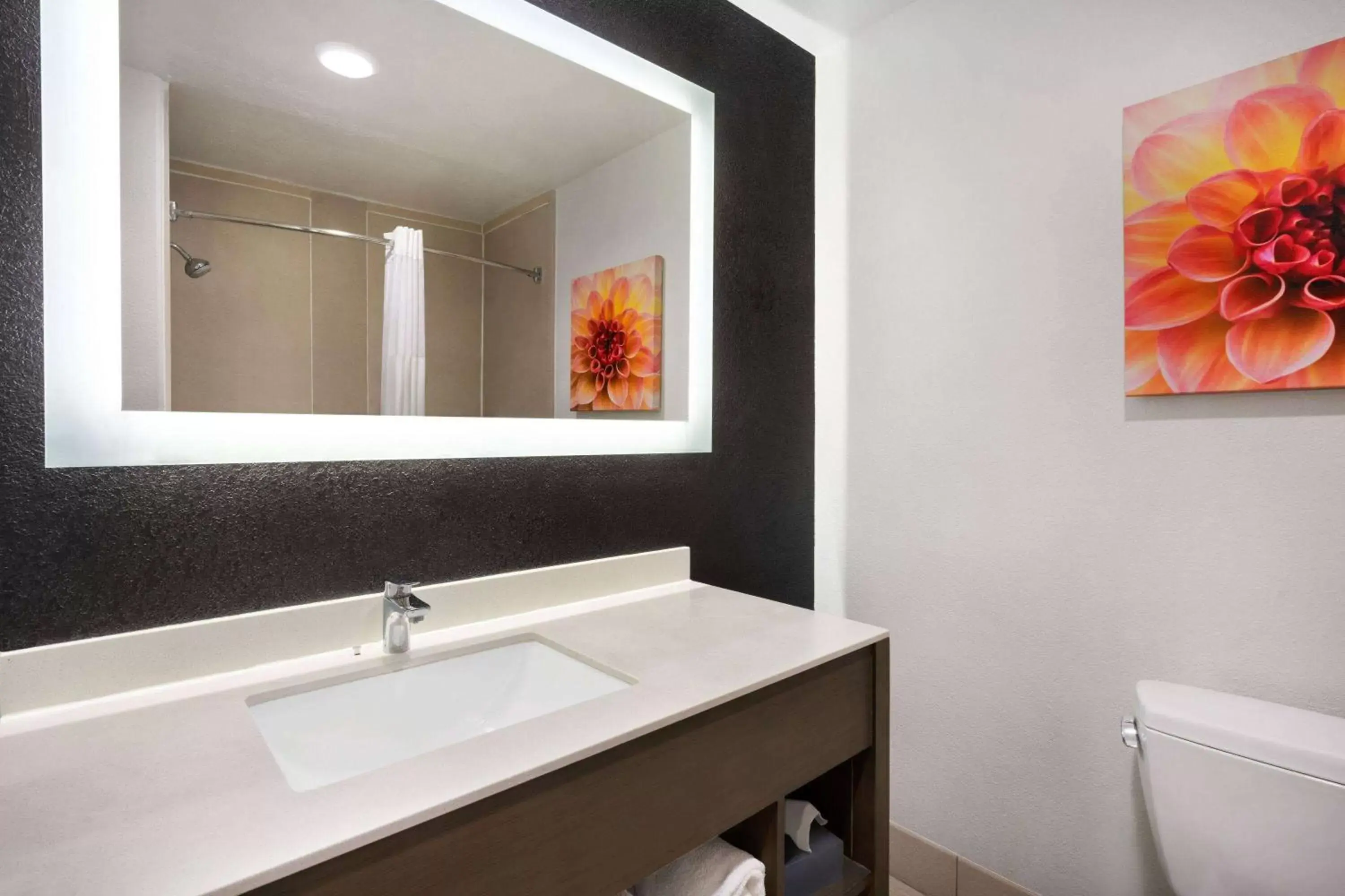 TV and multimedia, Bathroom in La Quinta Inn & Suites by Wyndham Hesperia Victorville