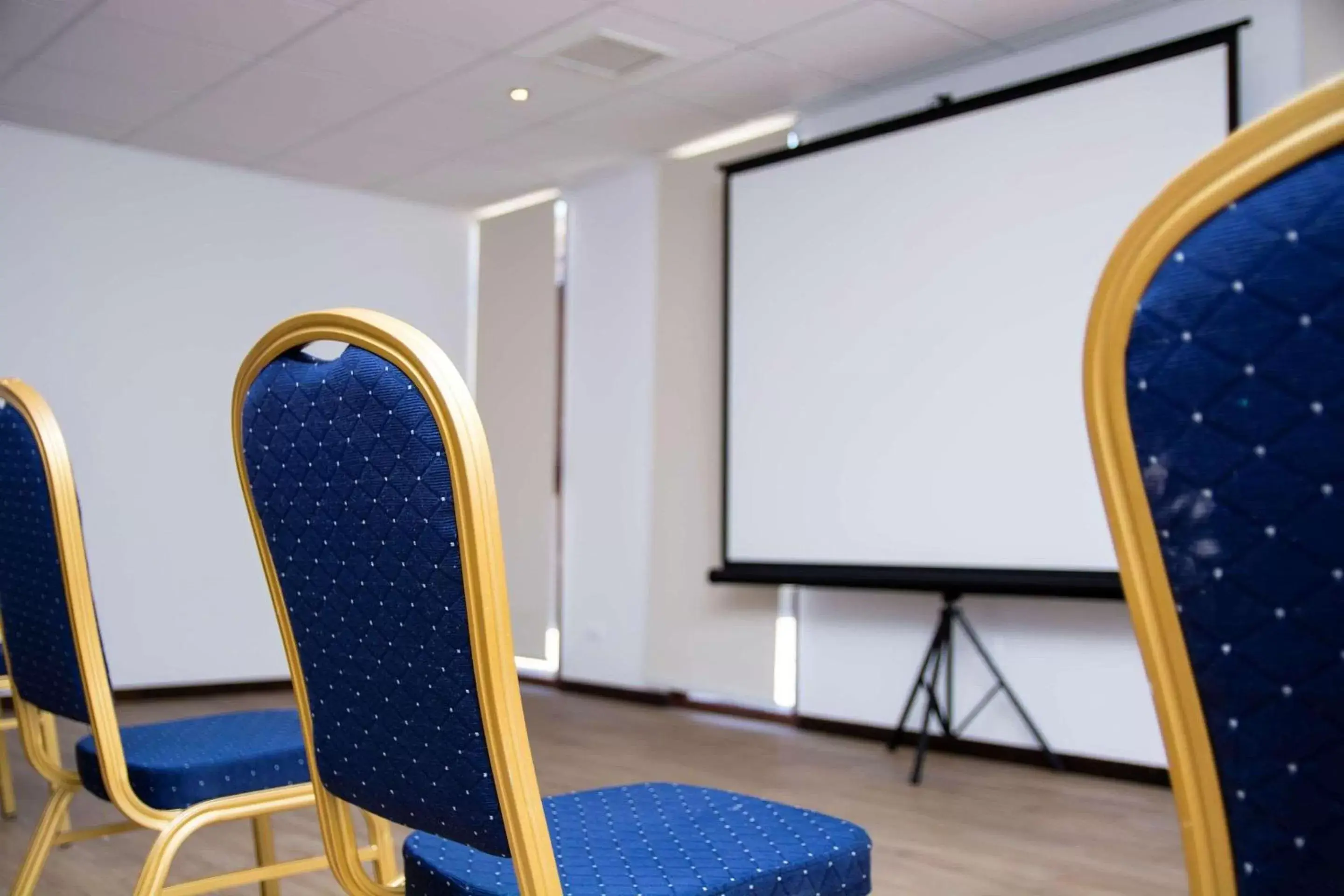 Meeting/conference room in Park Inn by Radisson Los Olivos de Vallenar