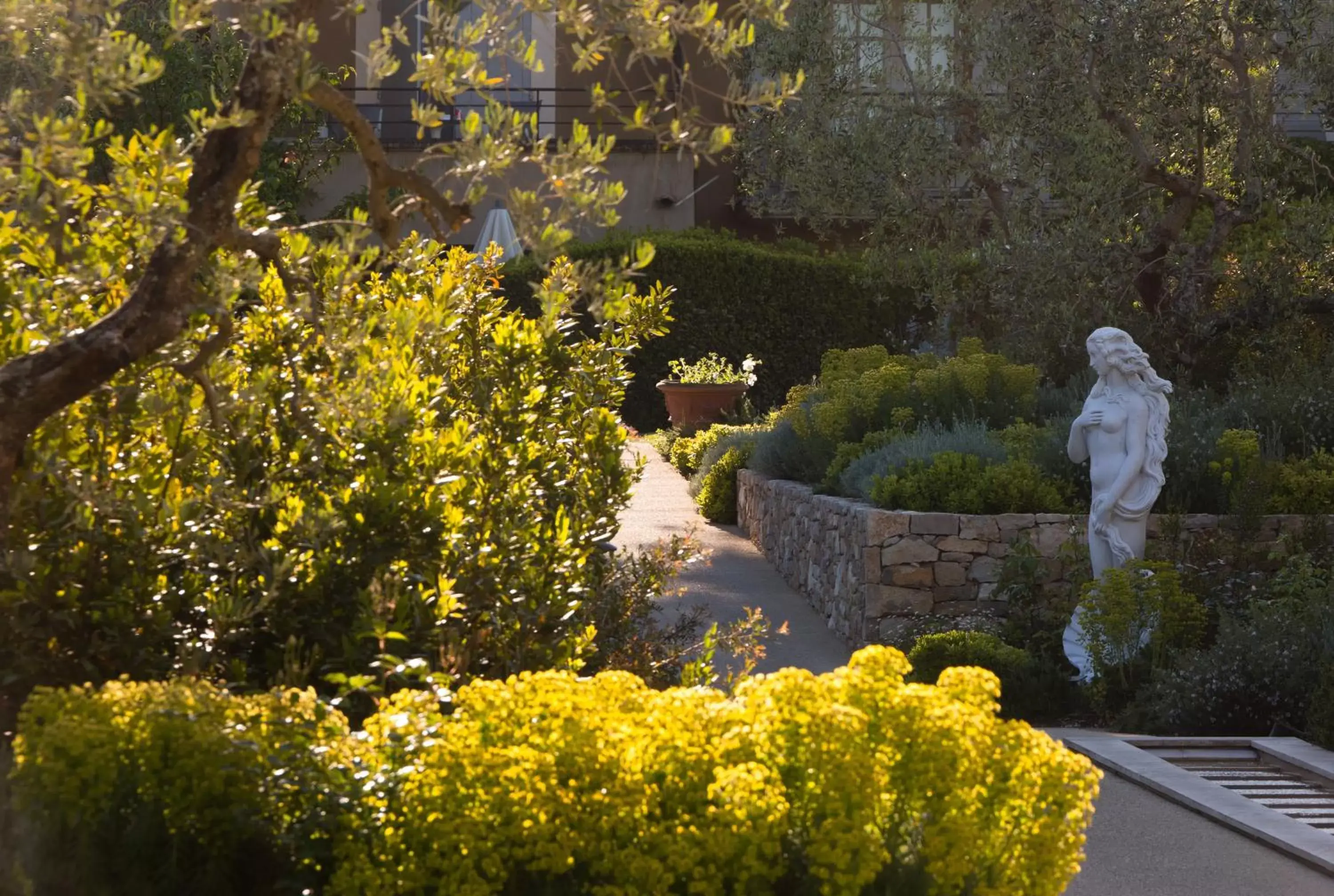 Garden in Domaine du Mas De Pierre