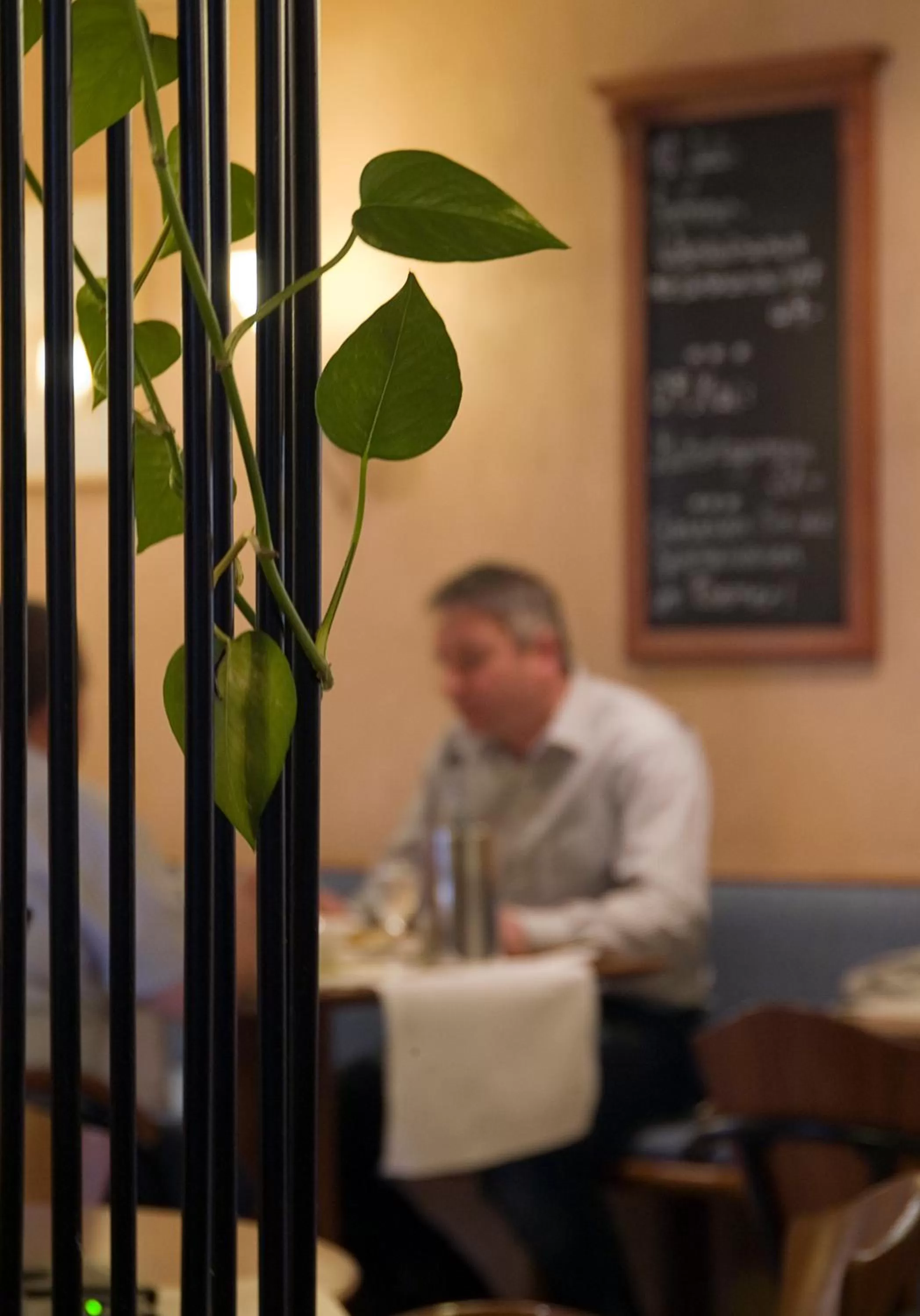 Lounge or bar in Hotel Restaurant Roemer