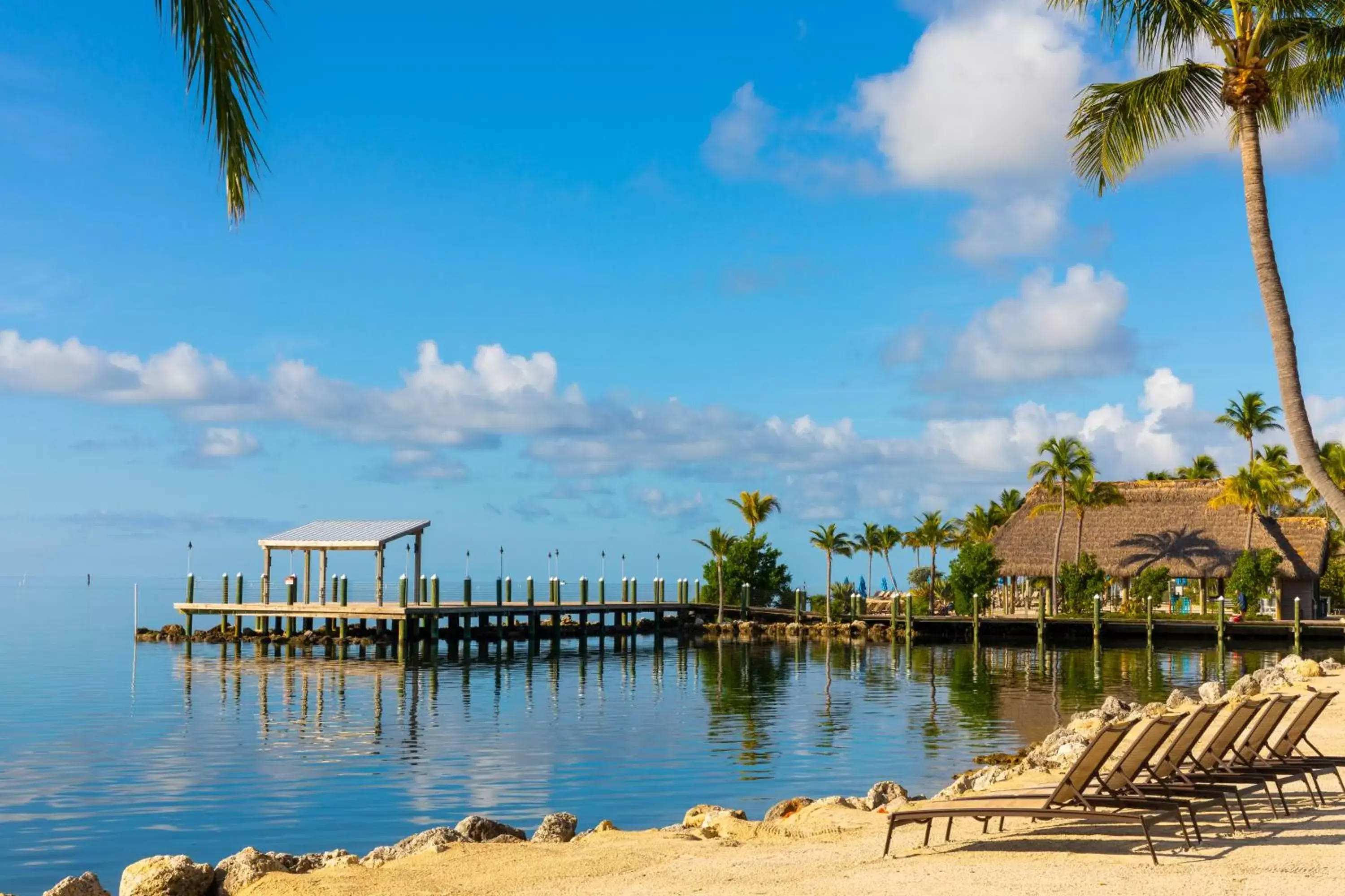 Beach in Pelican Cove Resort & Marina