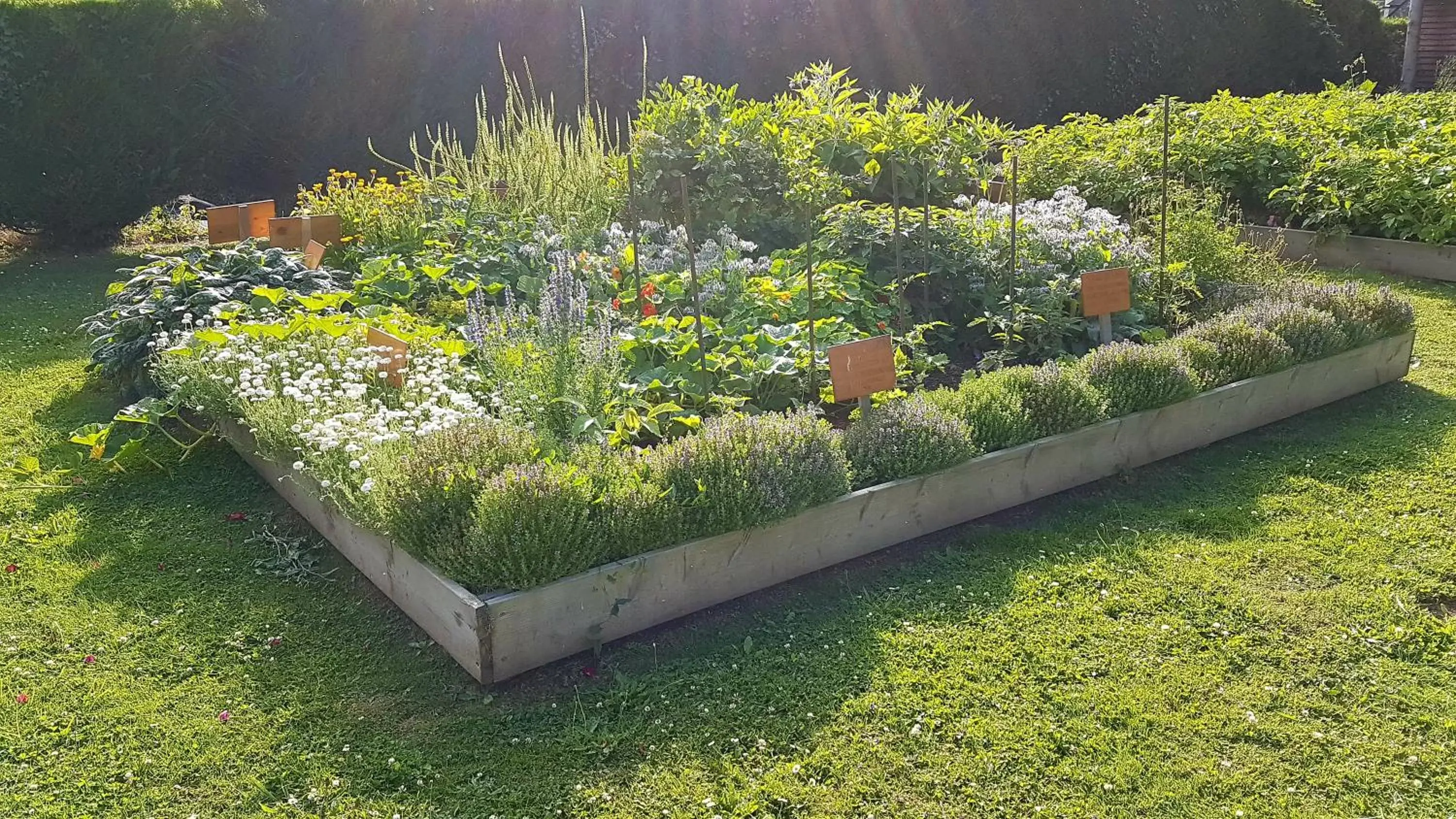 Garden in Le Manoir de la Bigotière