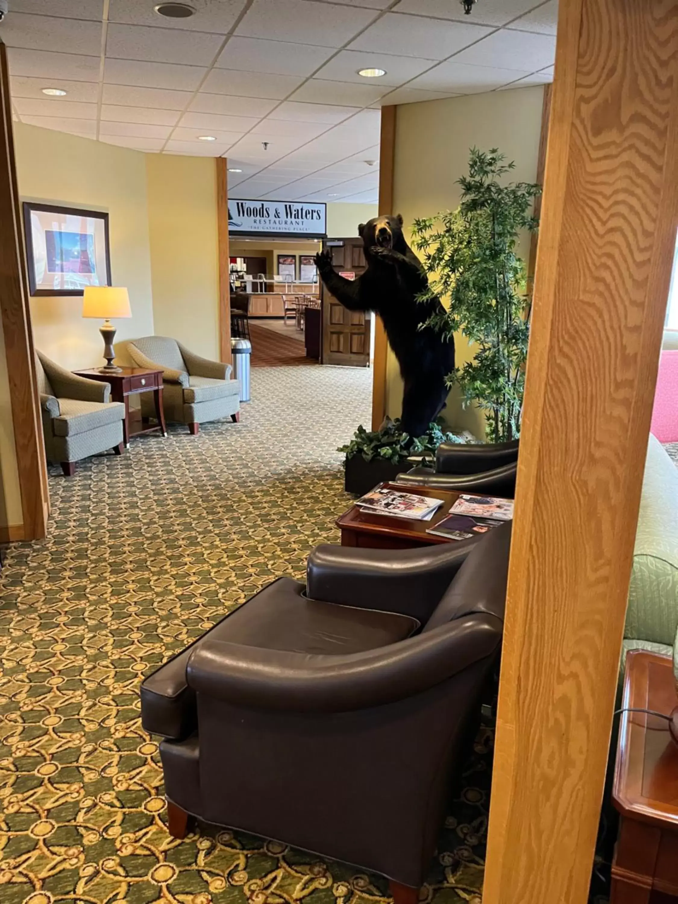 Lobby or reception in Days Inn & Suites by Wyndham Sutton Flatwoods Lobby or reception in Days Inn & Suites by Wyndham Sutton Flatwoods