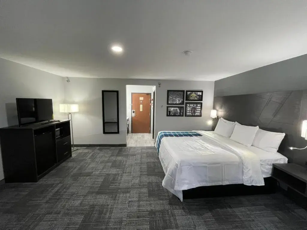 Bedroom, Bed in La Quinta Inn by Wyndham Indianapolis Airport Executive Dr