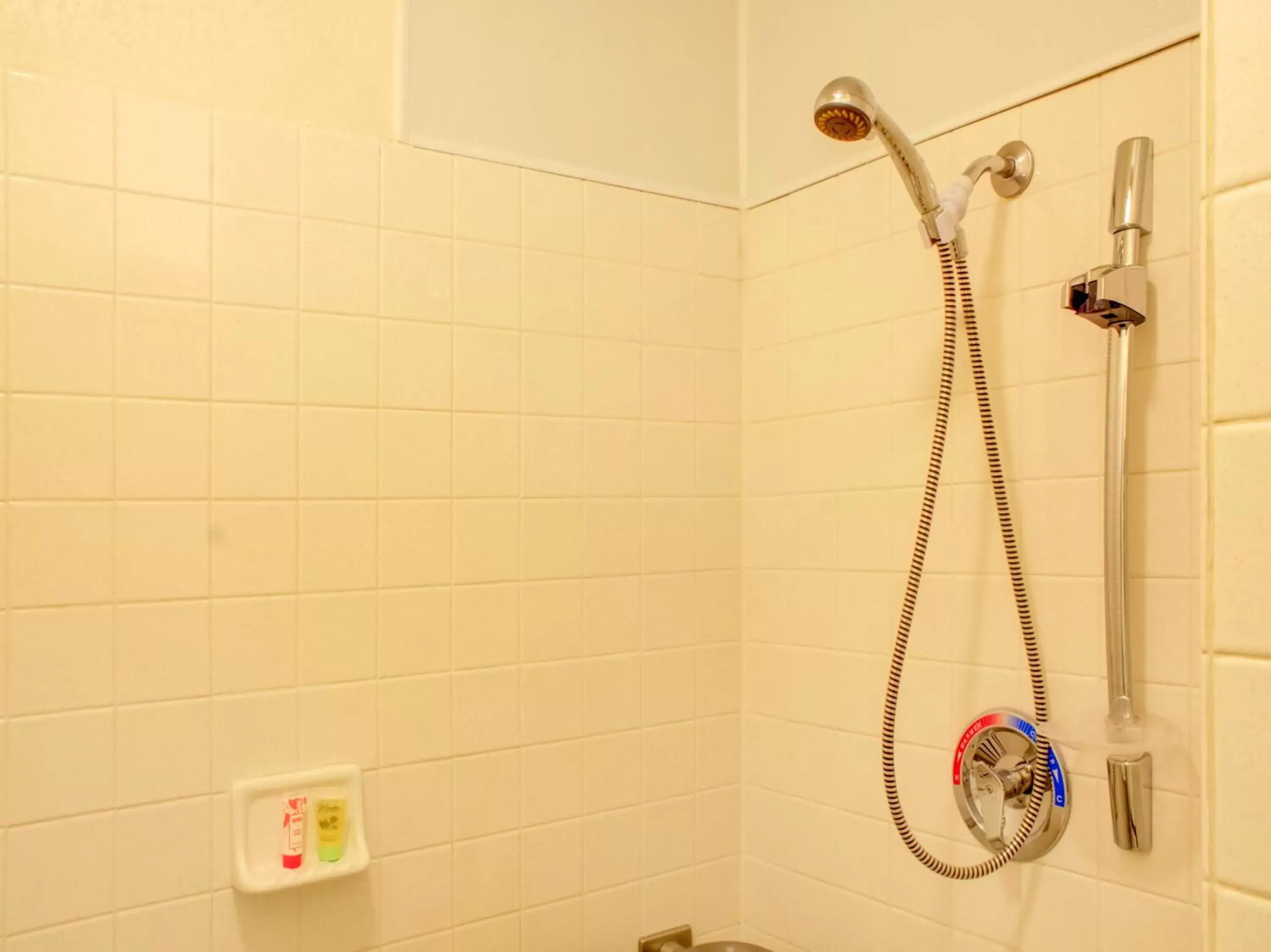 Shower, Bathroom in Travelodge by Wyndham Miles City