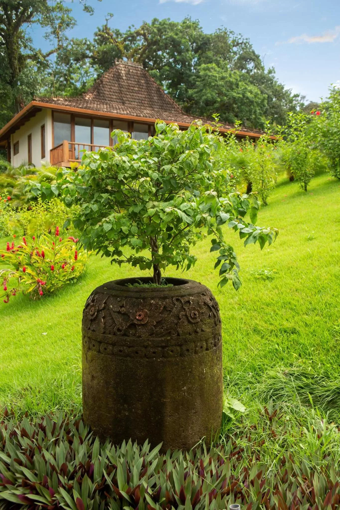 Garden in La Coralina Island House