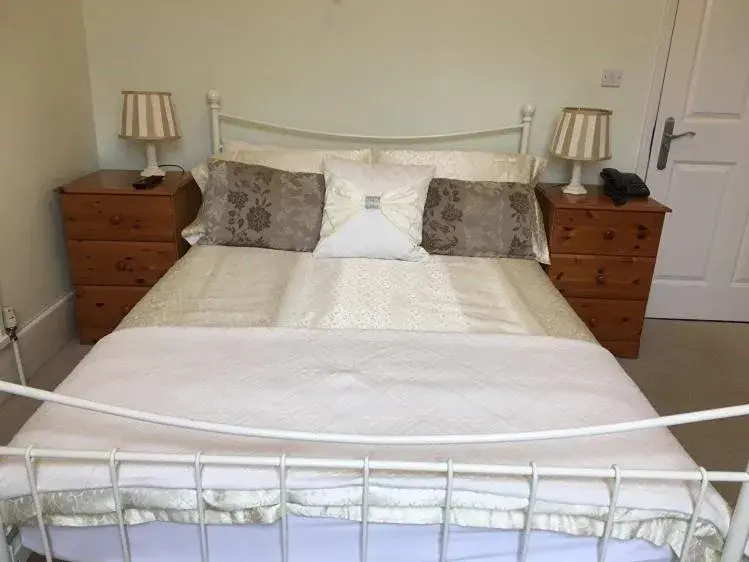 Double Room with Private Bathroom in Chaston Manor Hotel