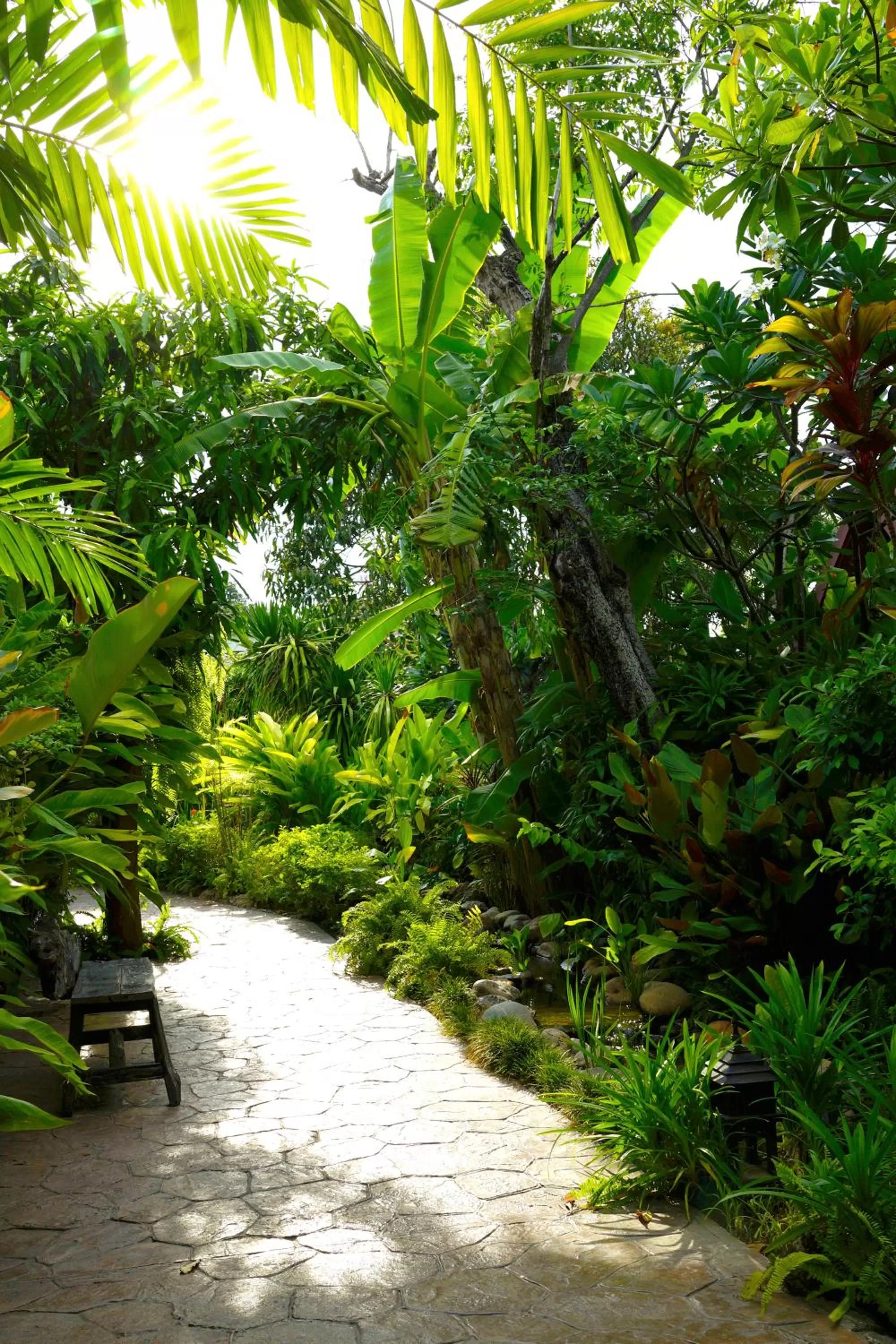 Garden in Ruenkanok Thaihouse Resort