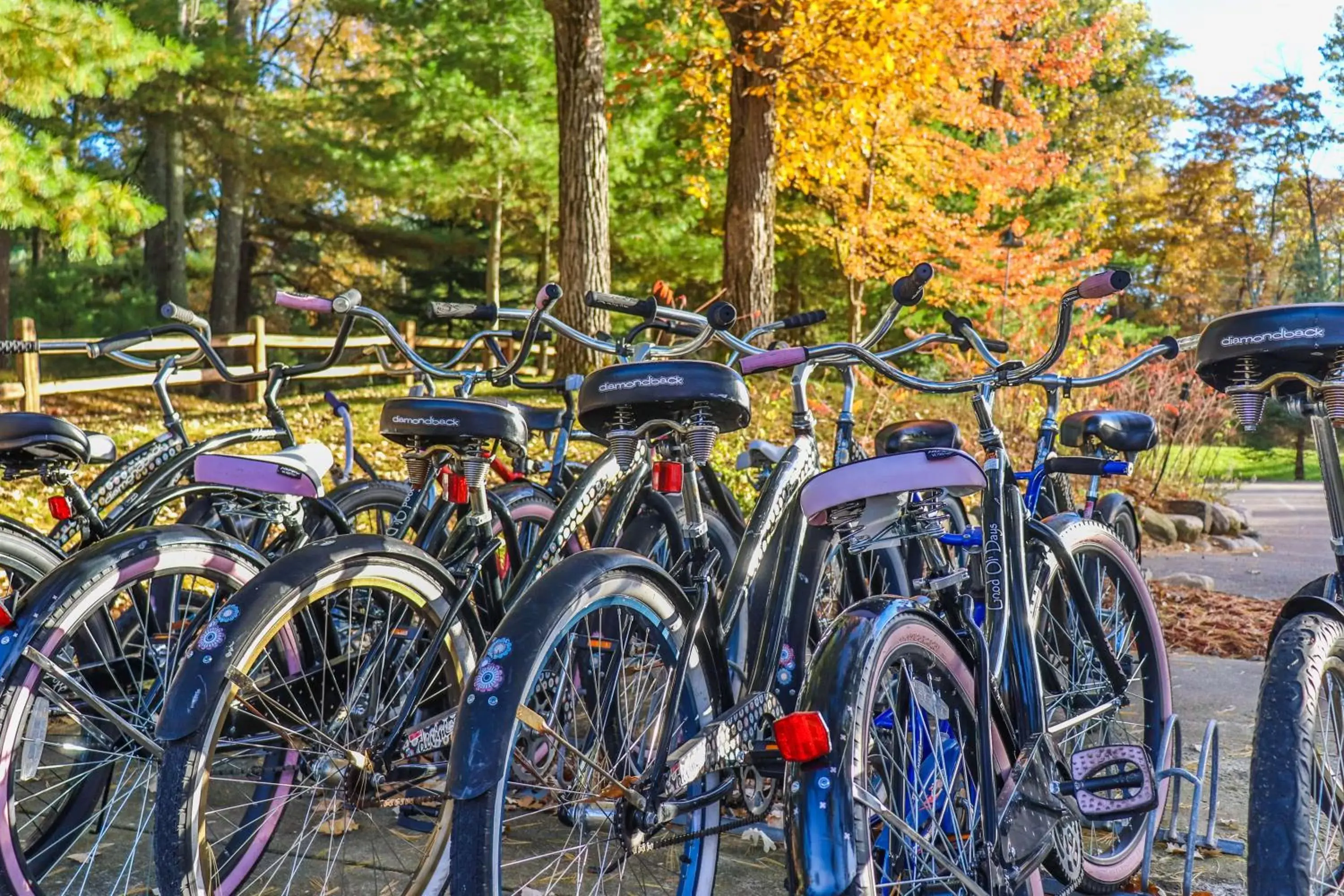 Property building, Biking in Good Ol Days Resort