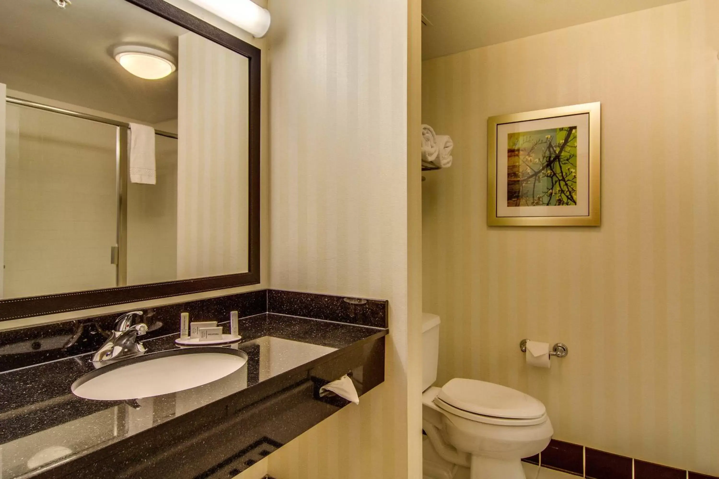 Bathroom in Fairfield Inn & Suites Palm Coast I-95