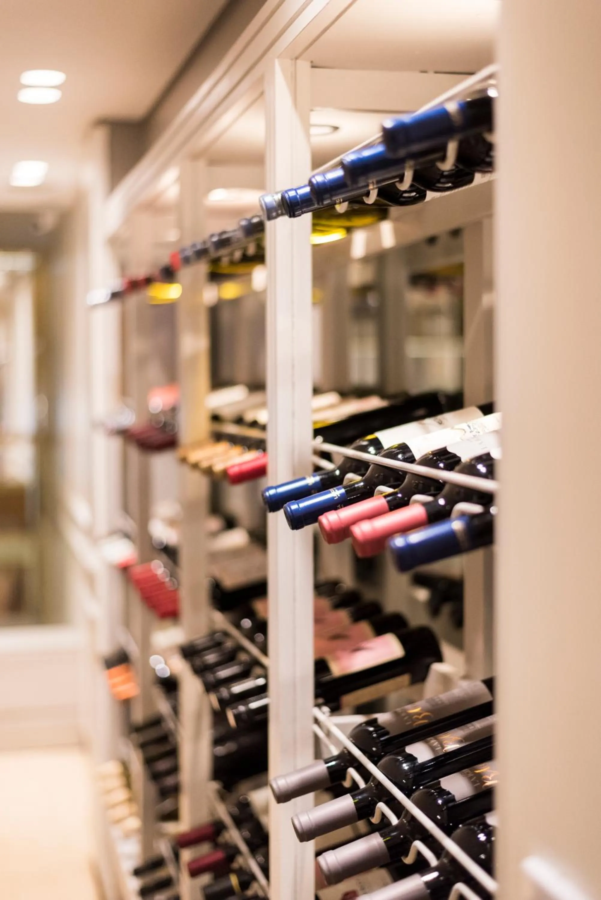 Alcoholic drinks in CasaSur Recoleta