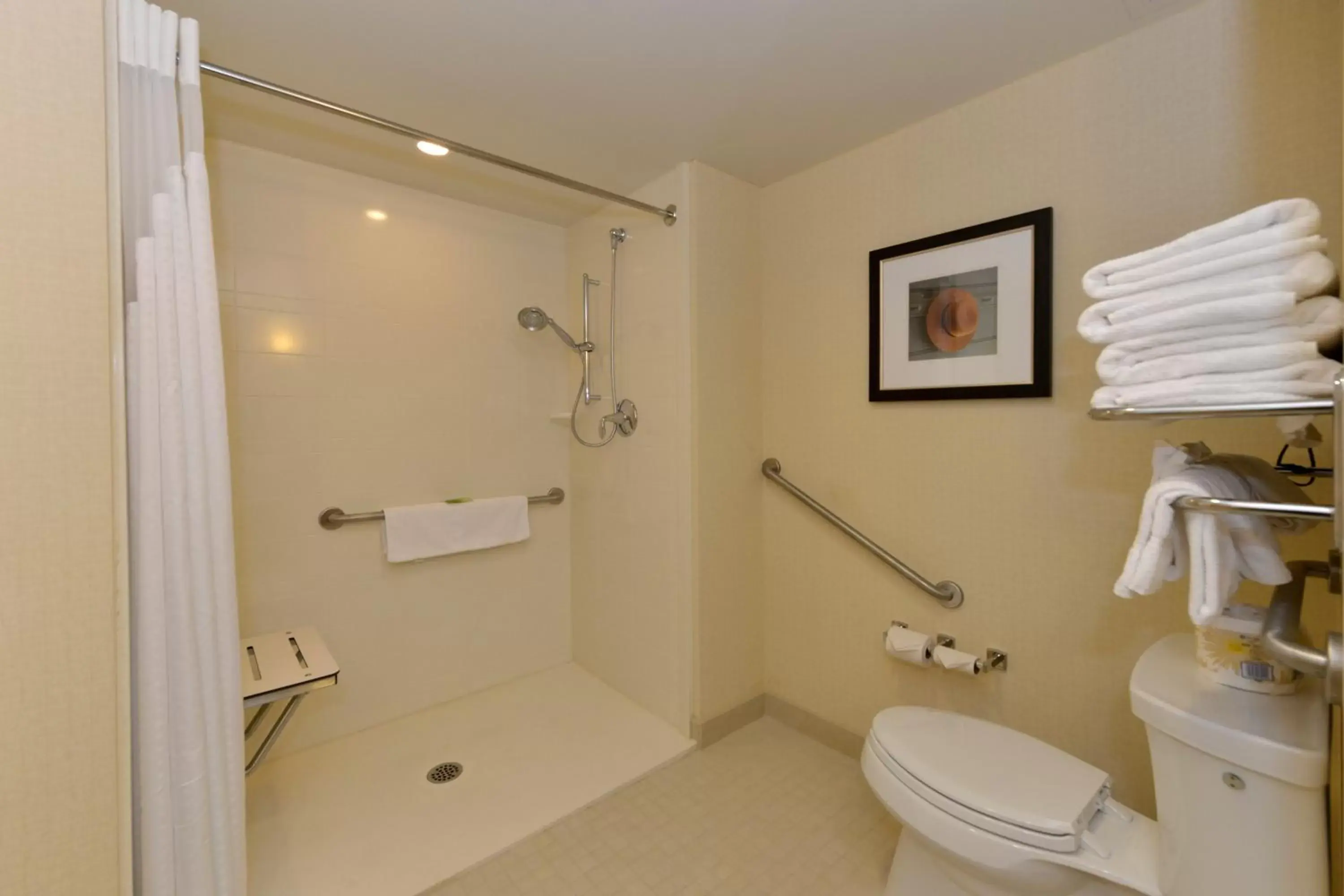 Photo of the whole room, Bathroom in Holiday Inn Express Hotel & Suites Waterloo - St. Jacobs Area, an IHG Hotel