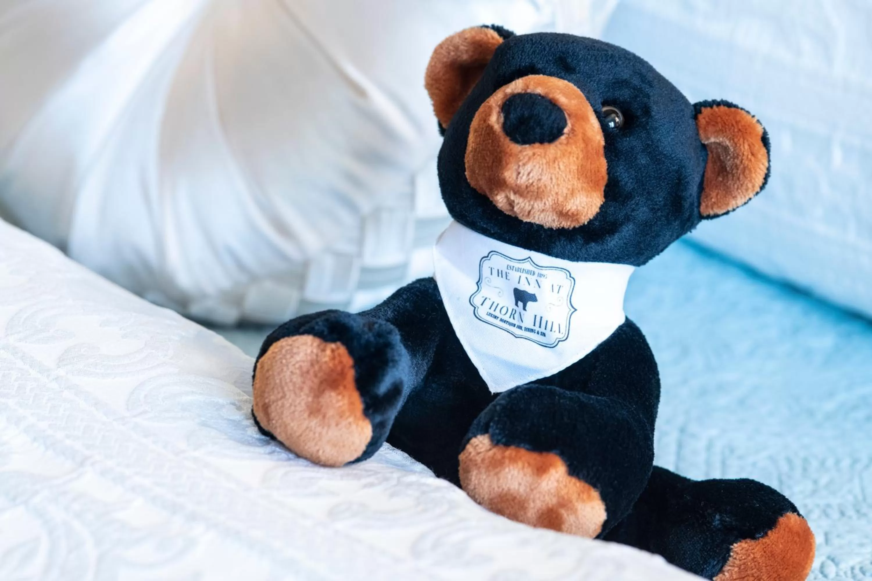 Other, Bed in The Inn at Thorn Hill