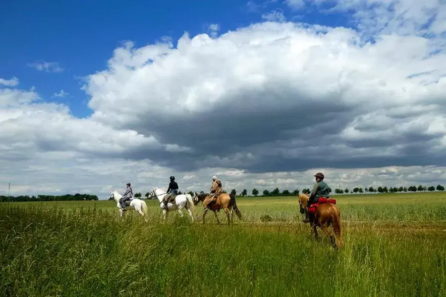 Entertainment, Horseback Riding in Villa La Clef Des Champs