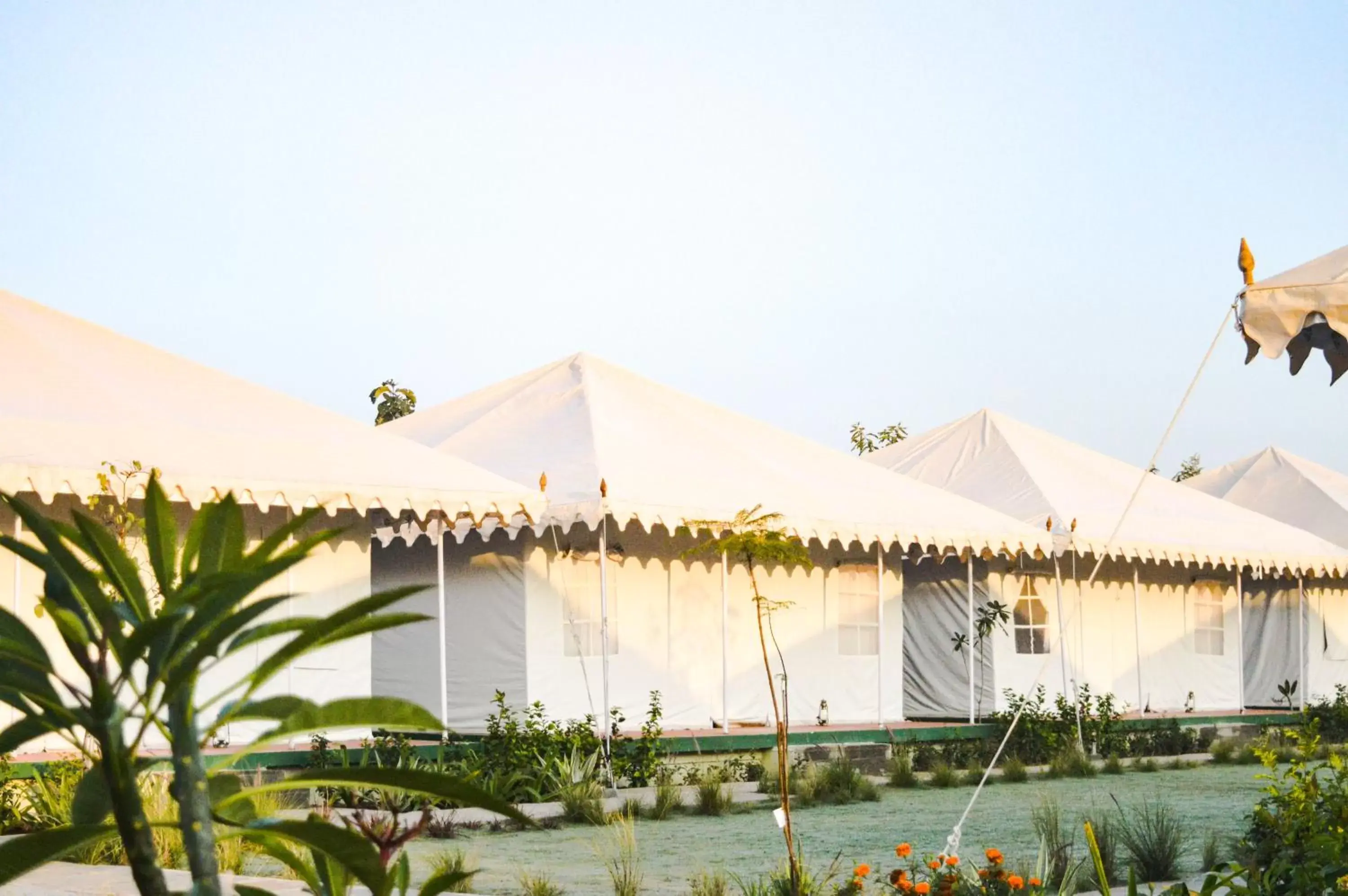 Bird's eye view in Madho Bagh Bird's eye view in Madho Bagh