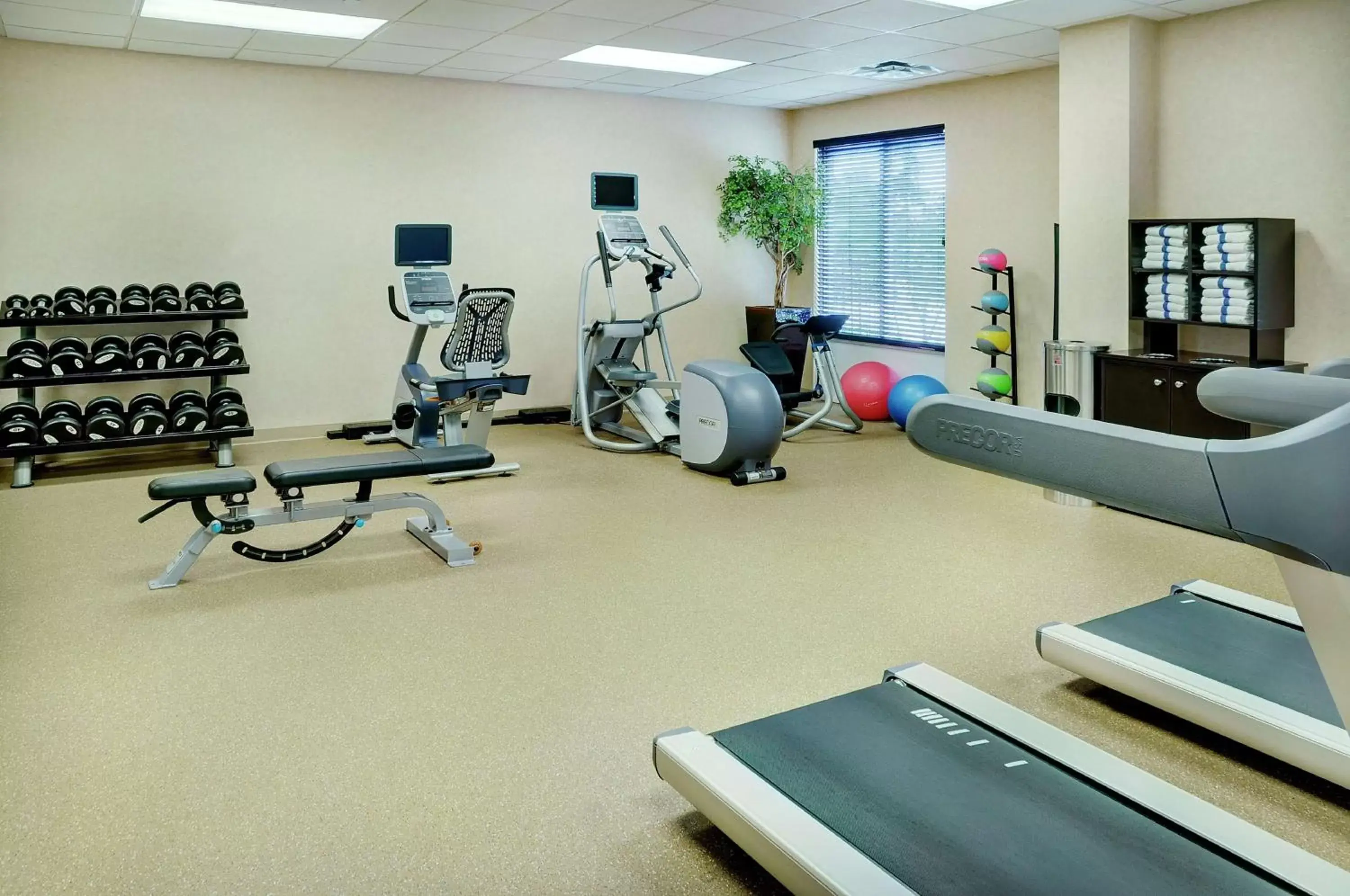 Fitness centre/facilities, Fitness Center/Facilities in Hilton Garden Inn Toronto/Burlington