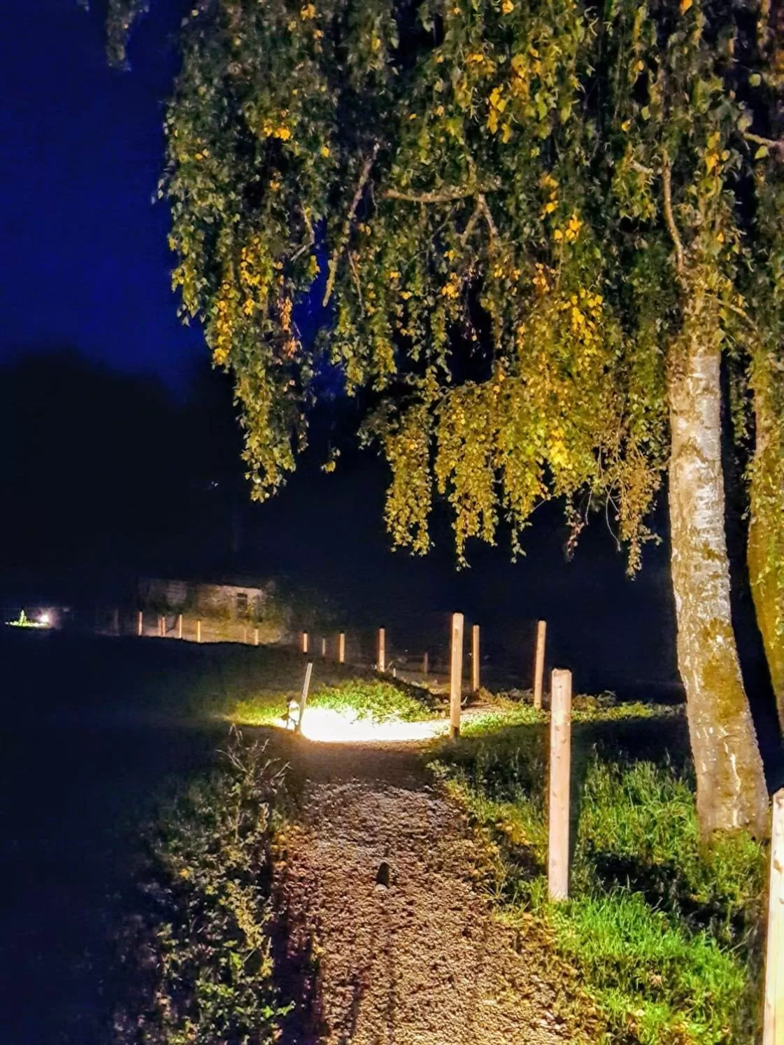 Garden view in Sunhill Appartments, klimatisiert