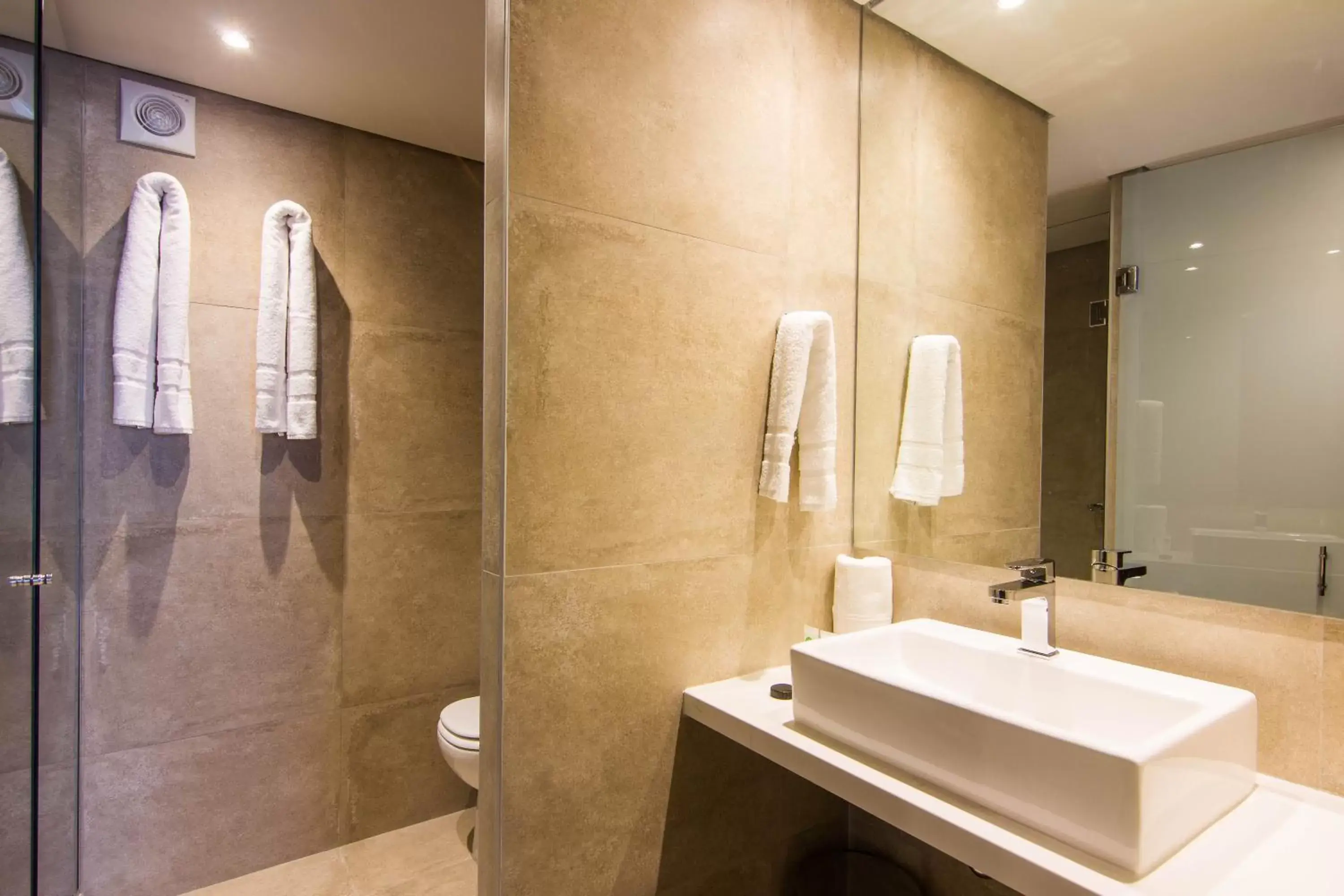 Bathroom in Hotel Ciudadano Suites