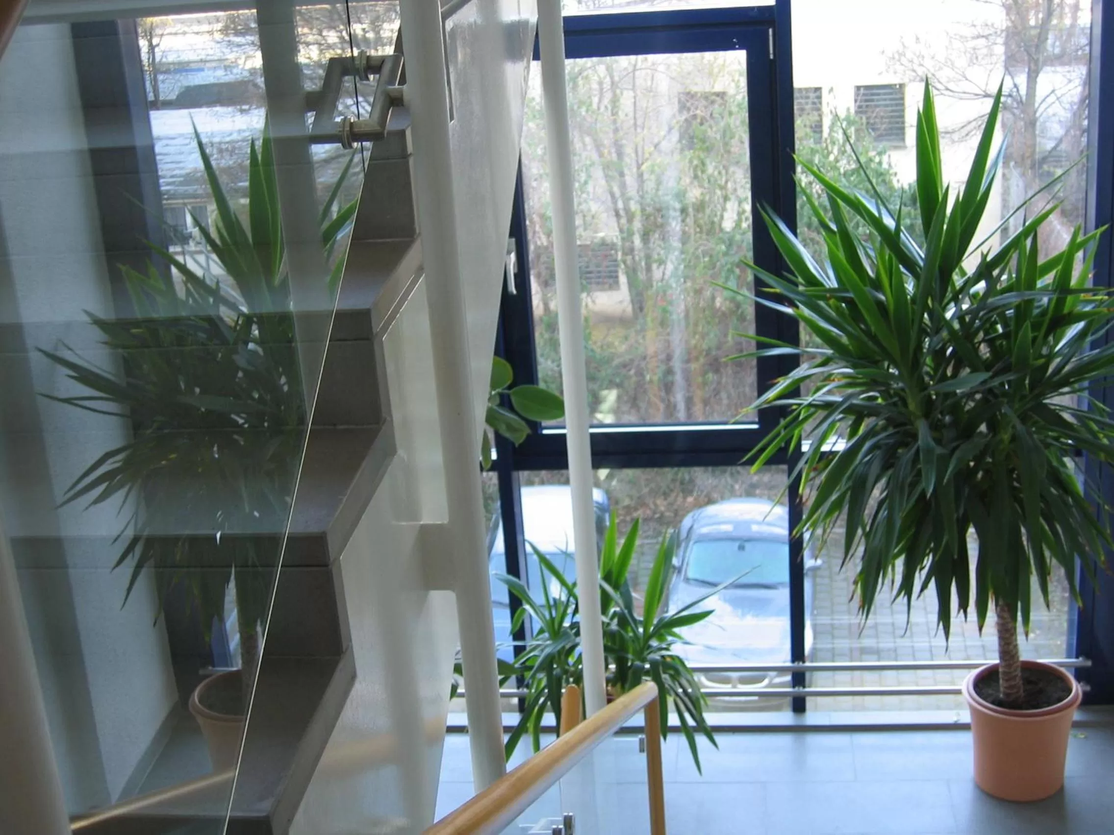 Other in Hotel Carat