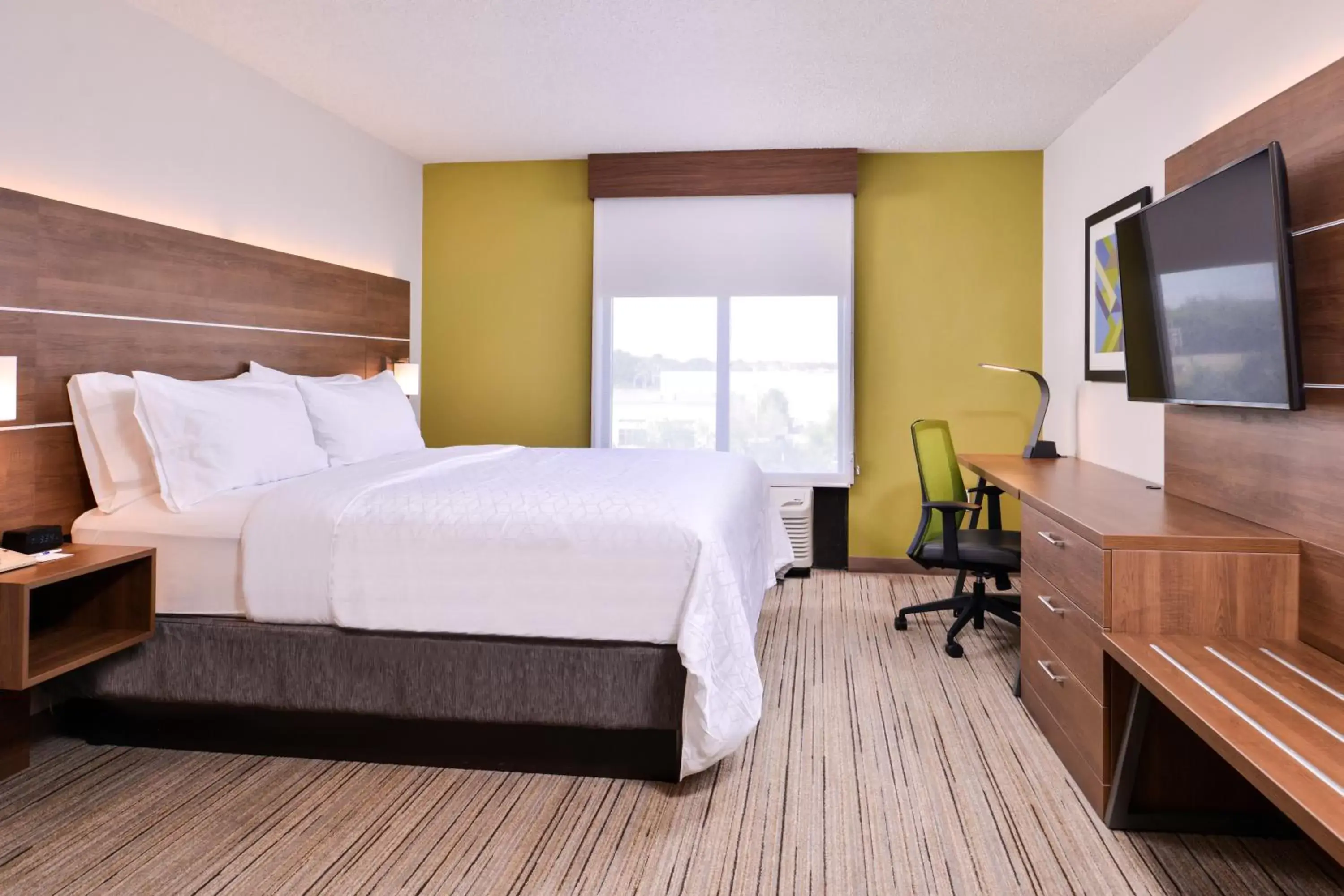 Photo of the whole room, Bed in Holiday Inn Express Hotel & Suites Tampa-Anderson Road-Veterans Exp, an IHG Hotel