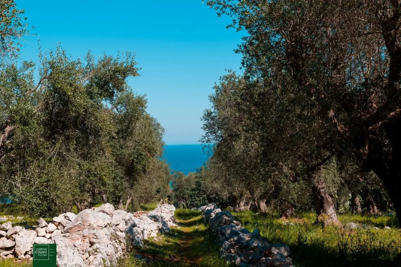 Natural landscape in Relais Casina Copini