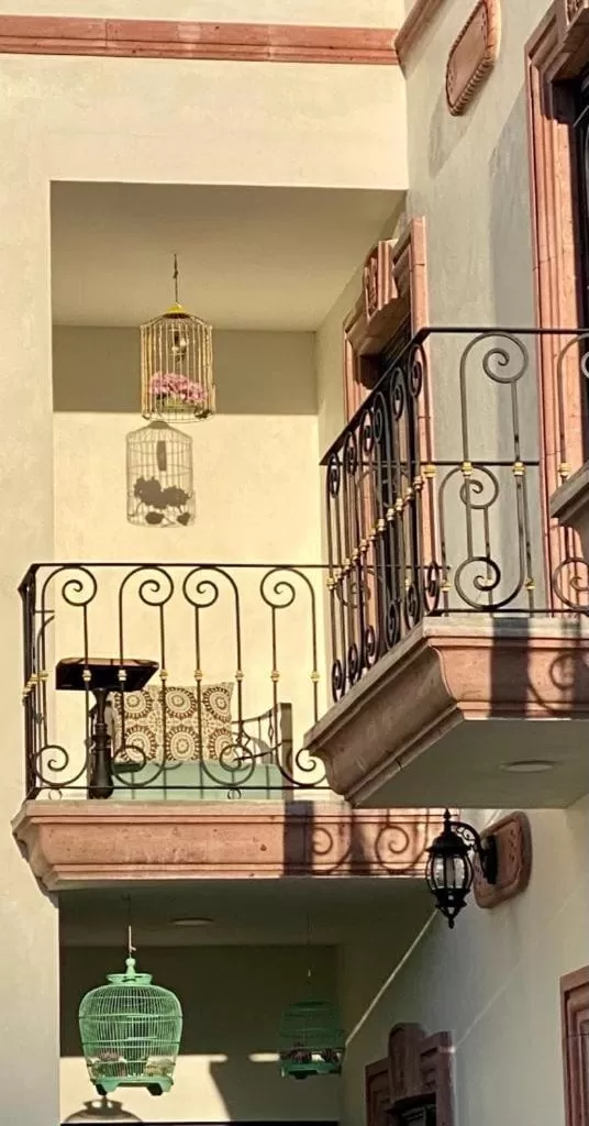 Garden in Hotel Danini