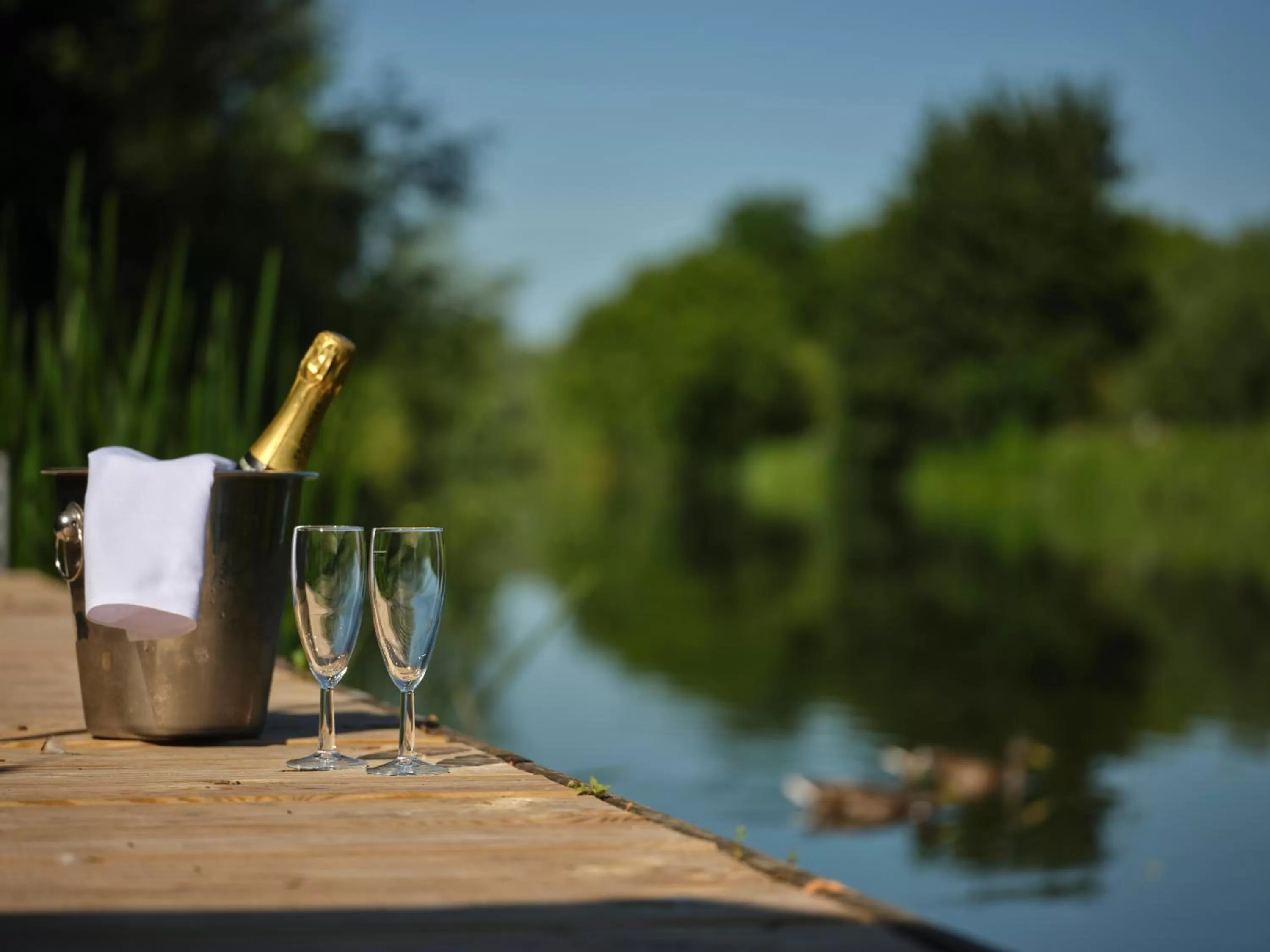 River view in The Kingfisher