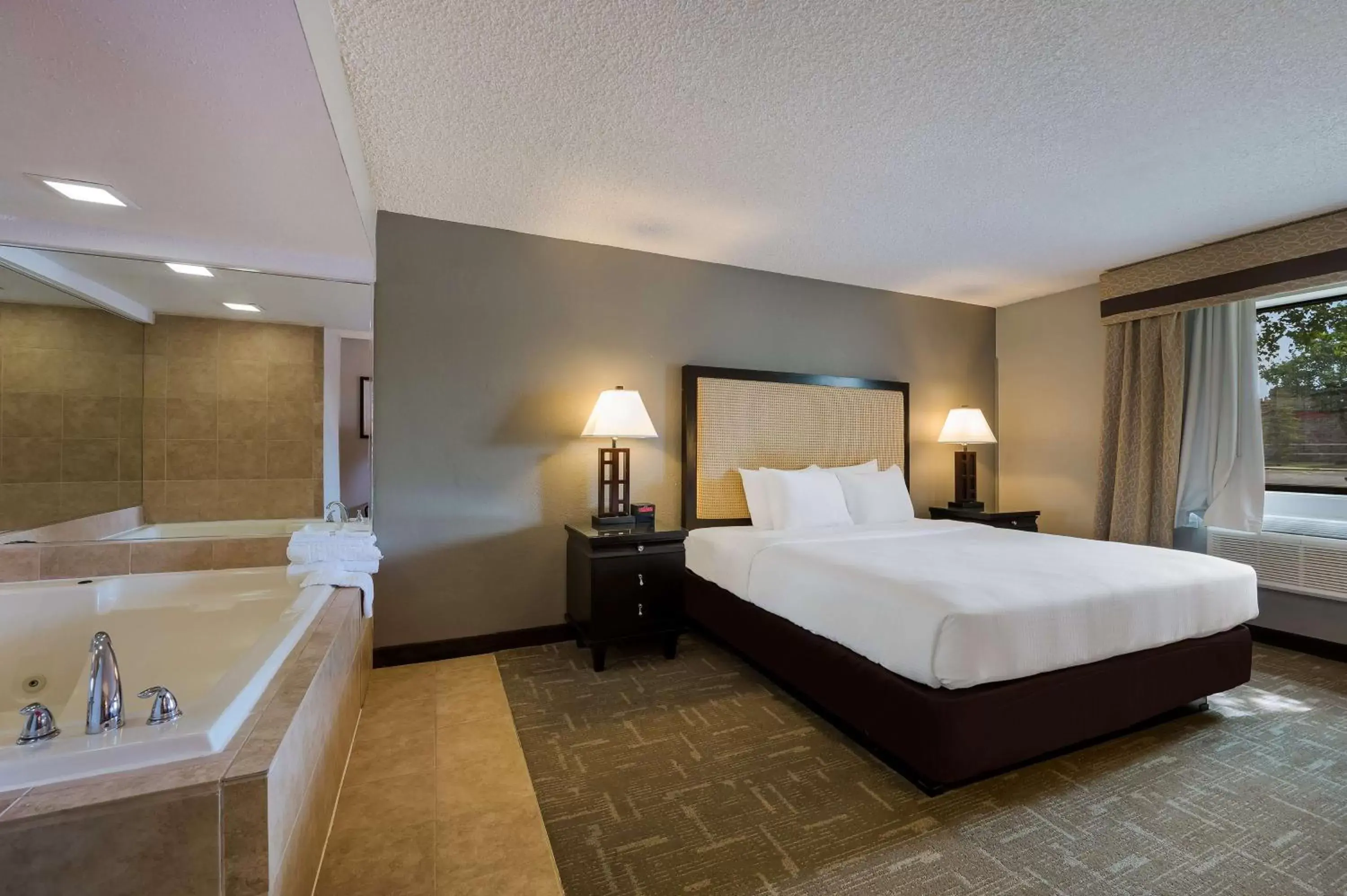 Photo of the whole room, Bed in Best Western Detroit Livonia