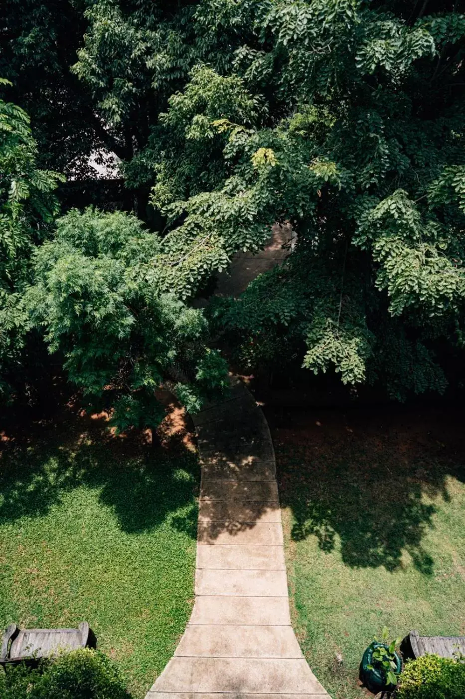 Garden in Inpawa Hotel