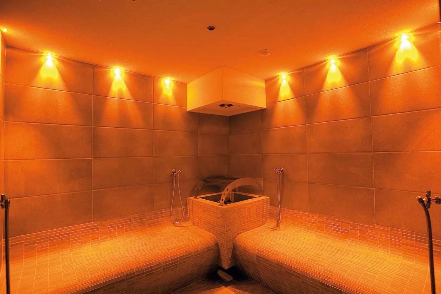 Spa and wellness centre/facilities in Hotel Horizon