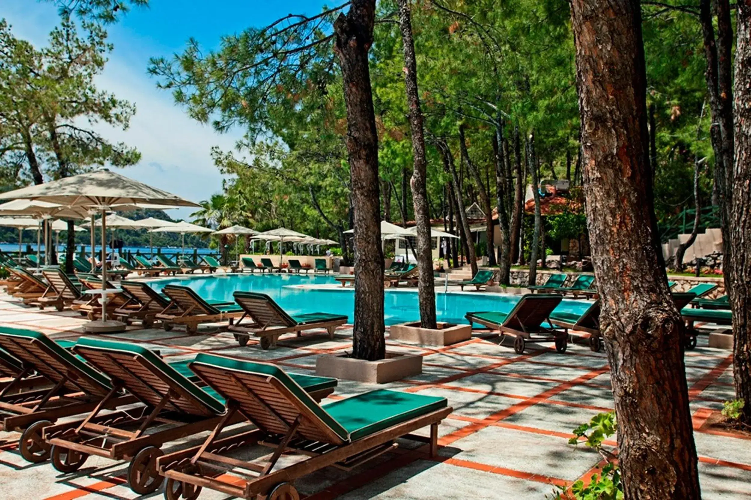 Balcony/Terrace, Swimming Pool in Marti Hemithea Hotel