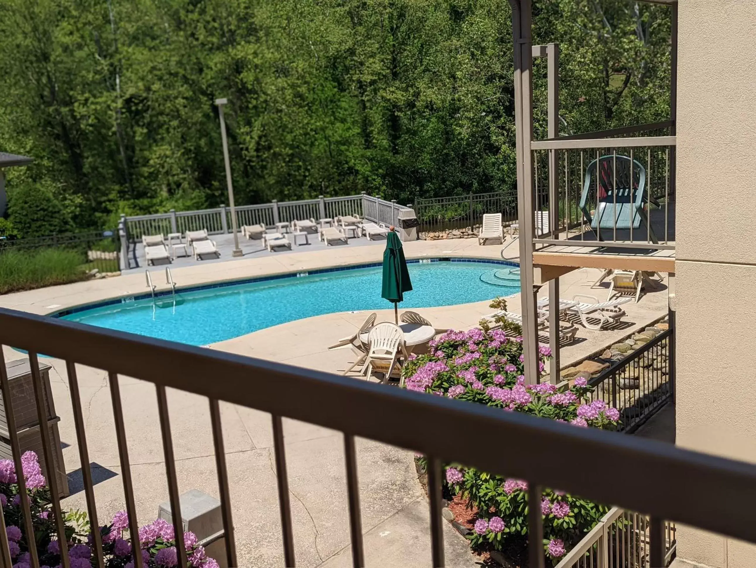 View (from property/room), Pool View in Quality Inn Cherokee