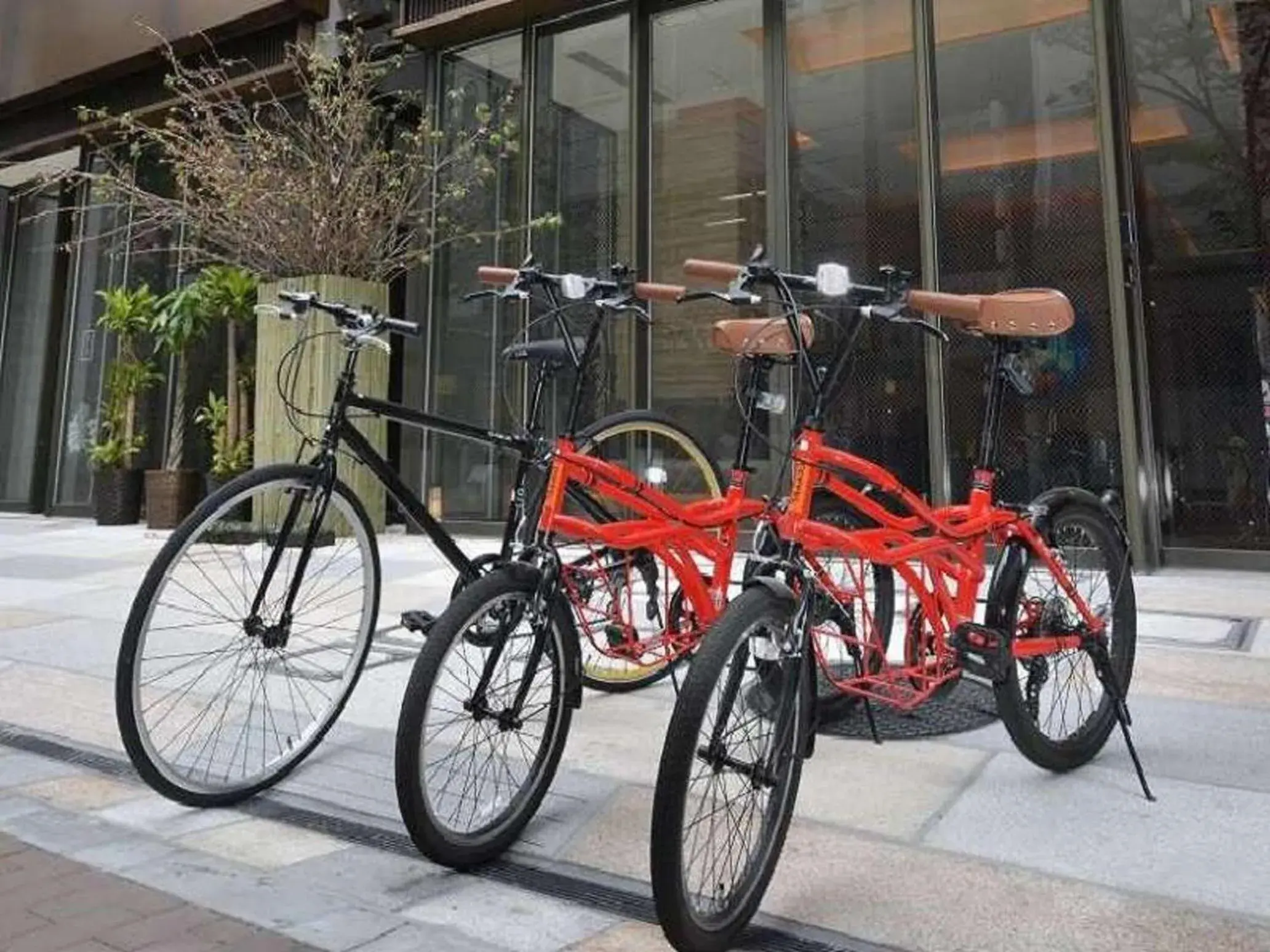 Cycling, Other Activities in HOTEL HILLARYS Akasaka