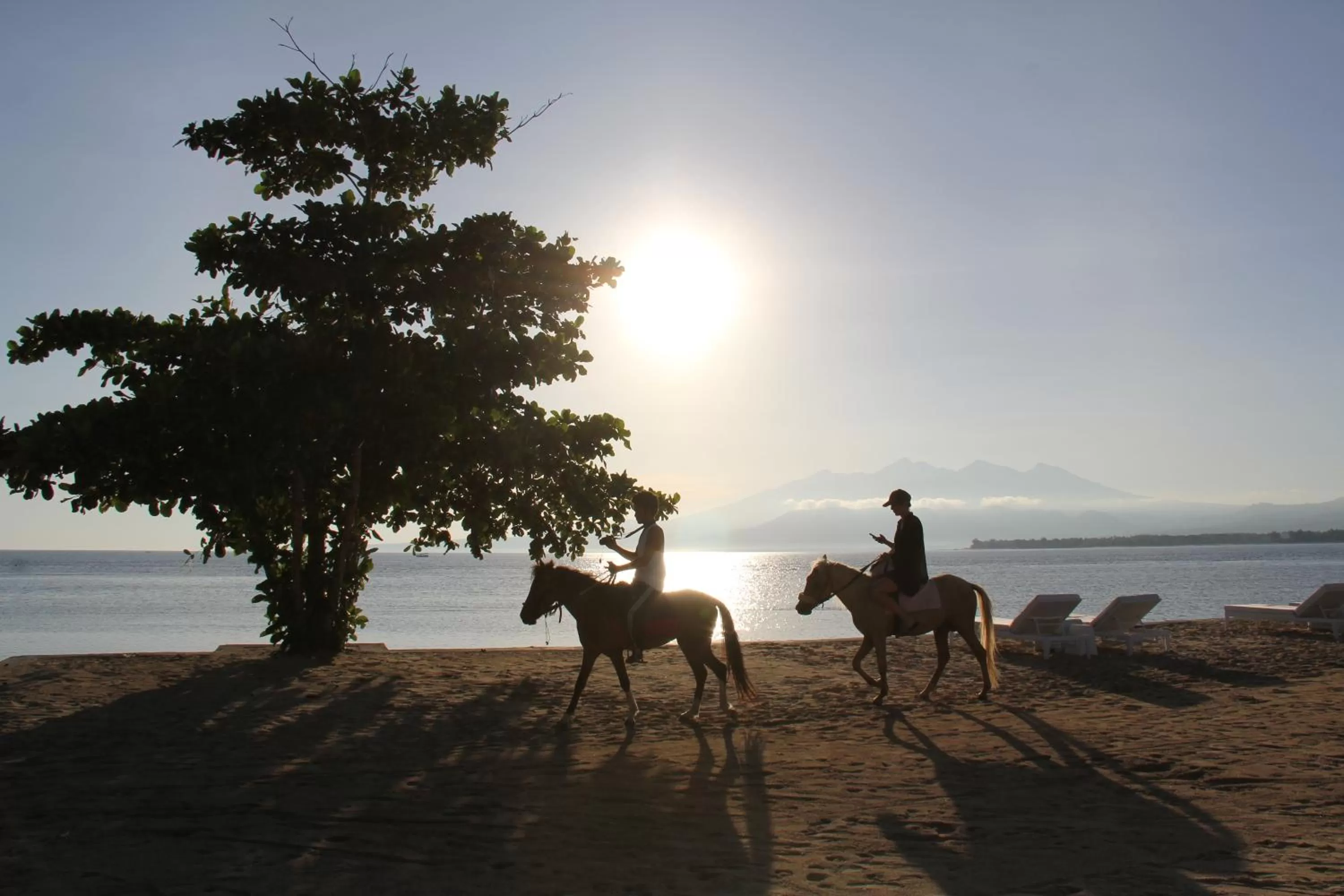 Horse-riding in Seri Resort Gili Meno - Adults Only