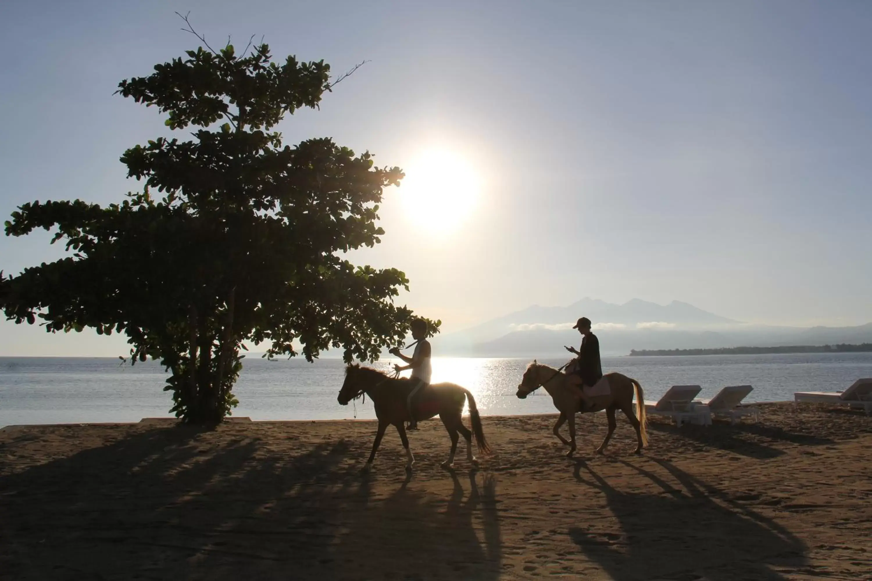 Horse-riding, Horseback Riding in Seri Resort Gili Meno - Adults Only