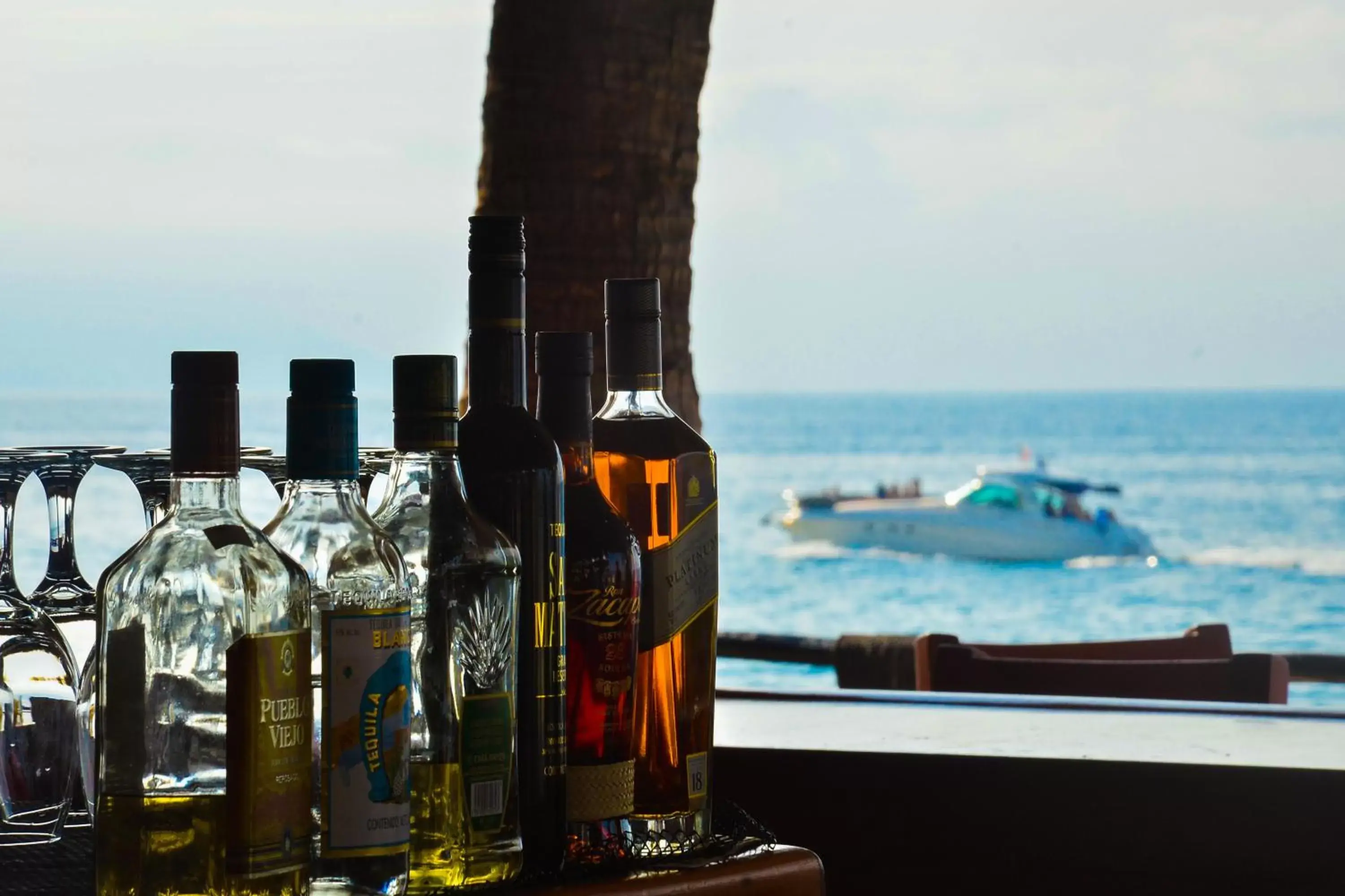 Lounge or bar in Costa Sur Resort & Spa
