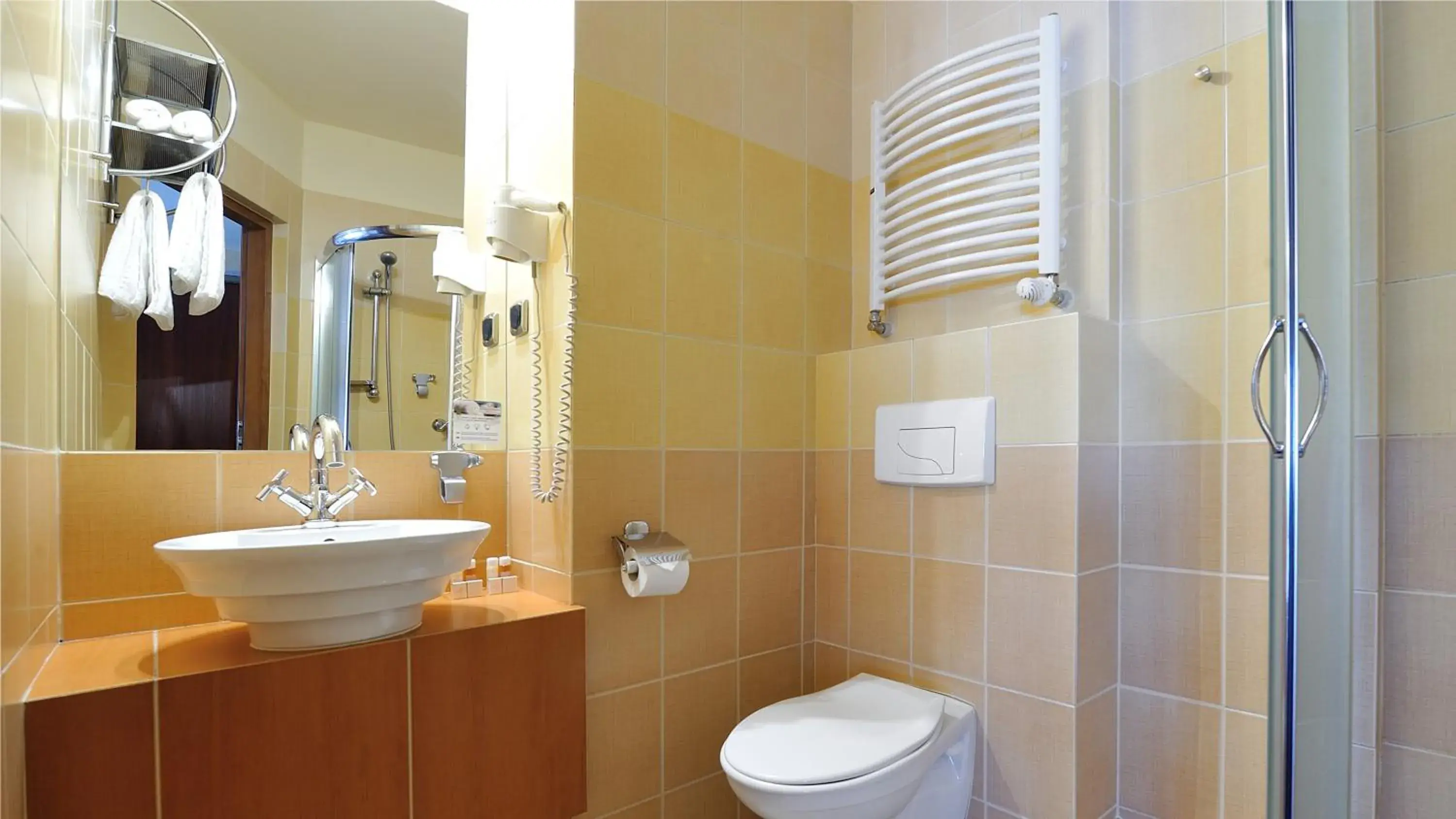 Bathroom in Hotel Diament Vacanza Katowice - Siemianowice