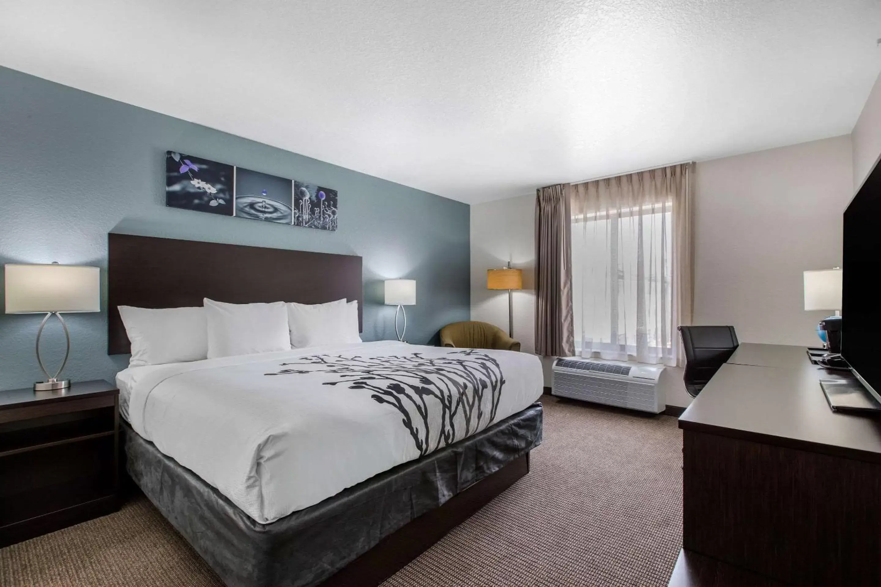 Photo of the whole room, Bed in Sleep Inn & Suites Ankeny - Des Moines