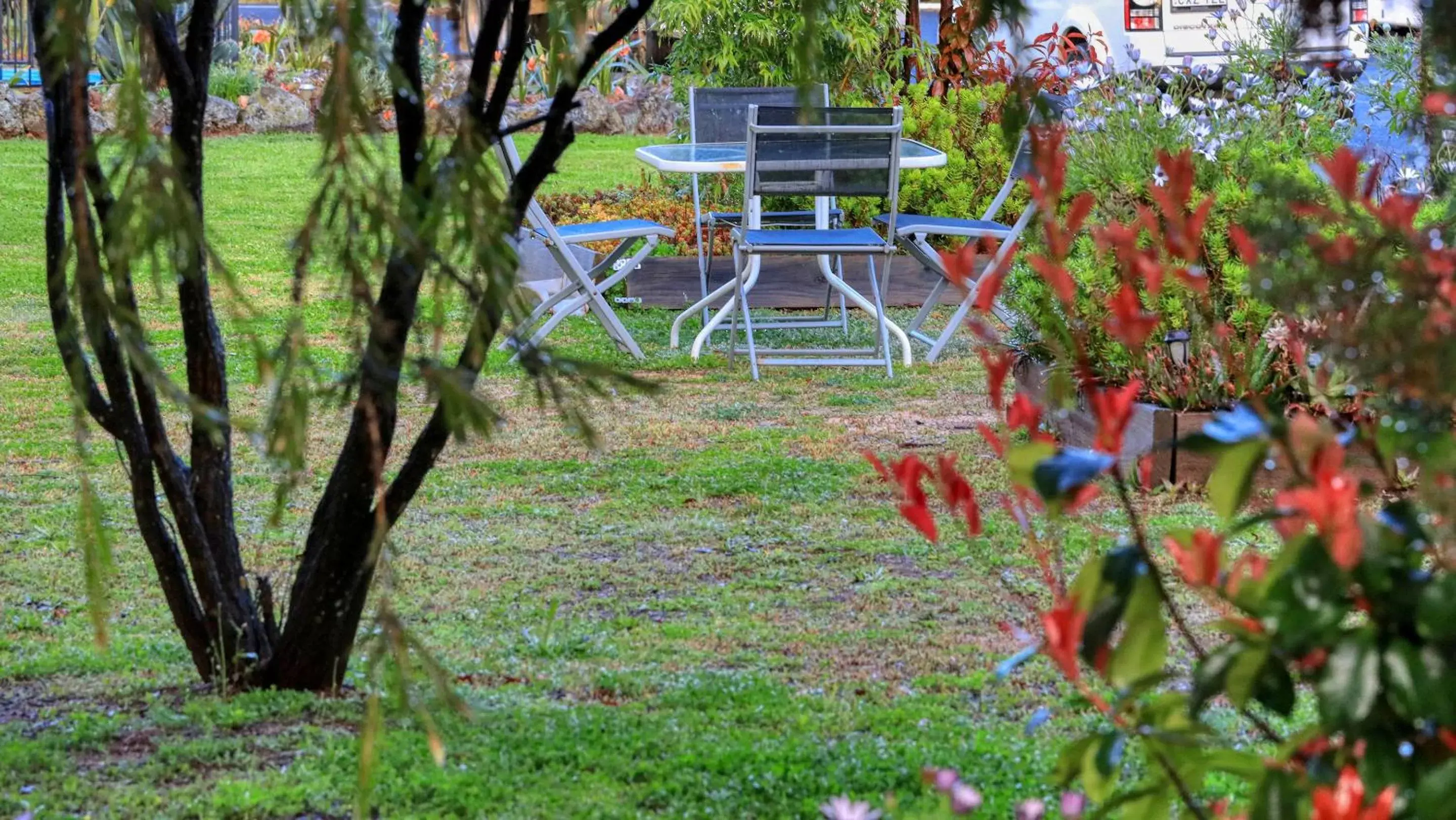 Seating area, Garden in Azalea Motel