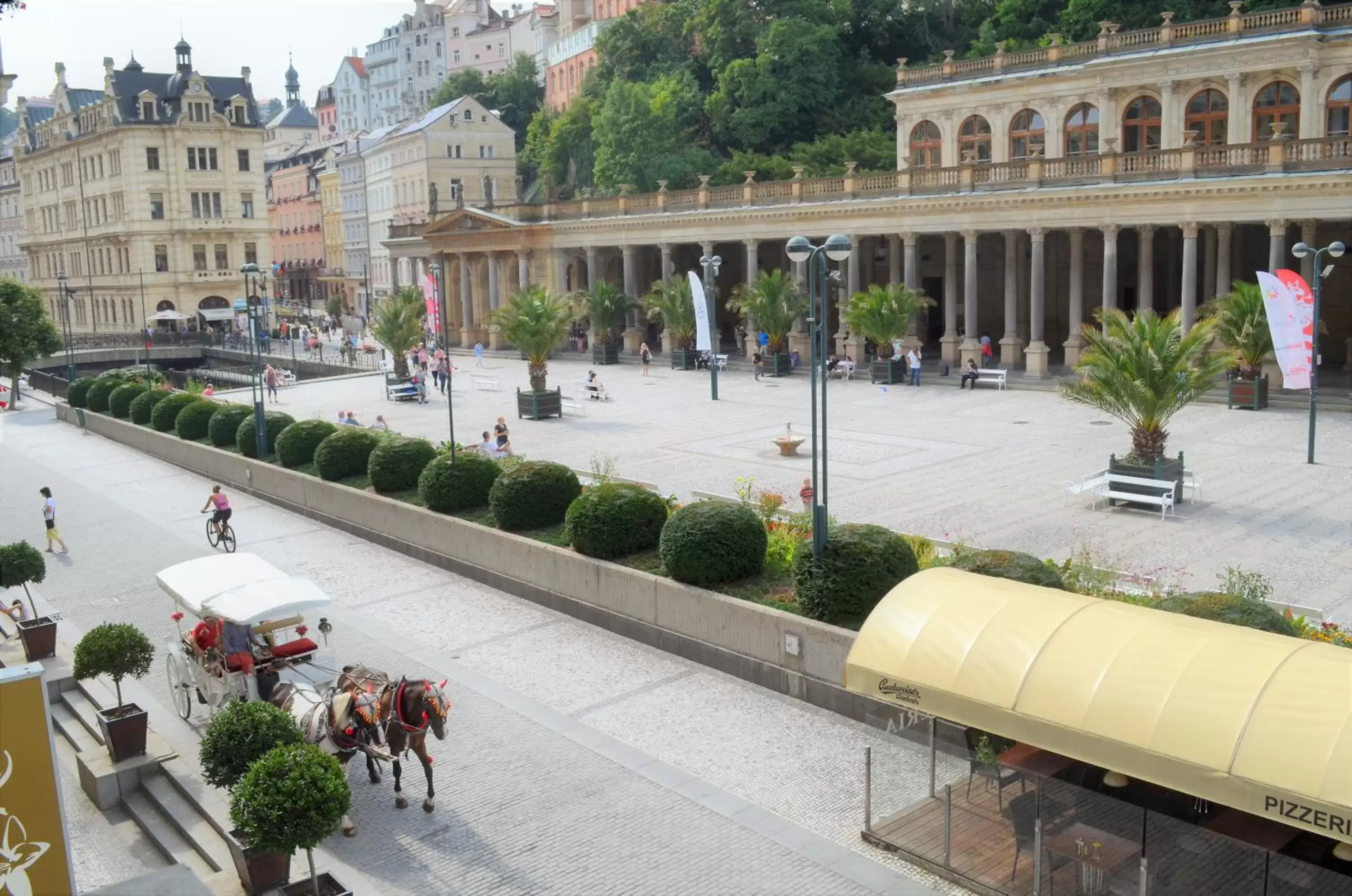 View (from property/room) in Hotel Petr