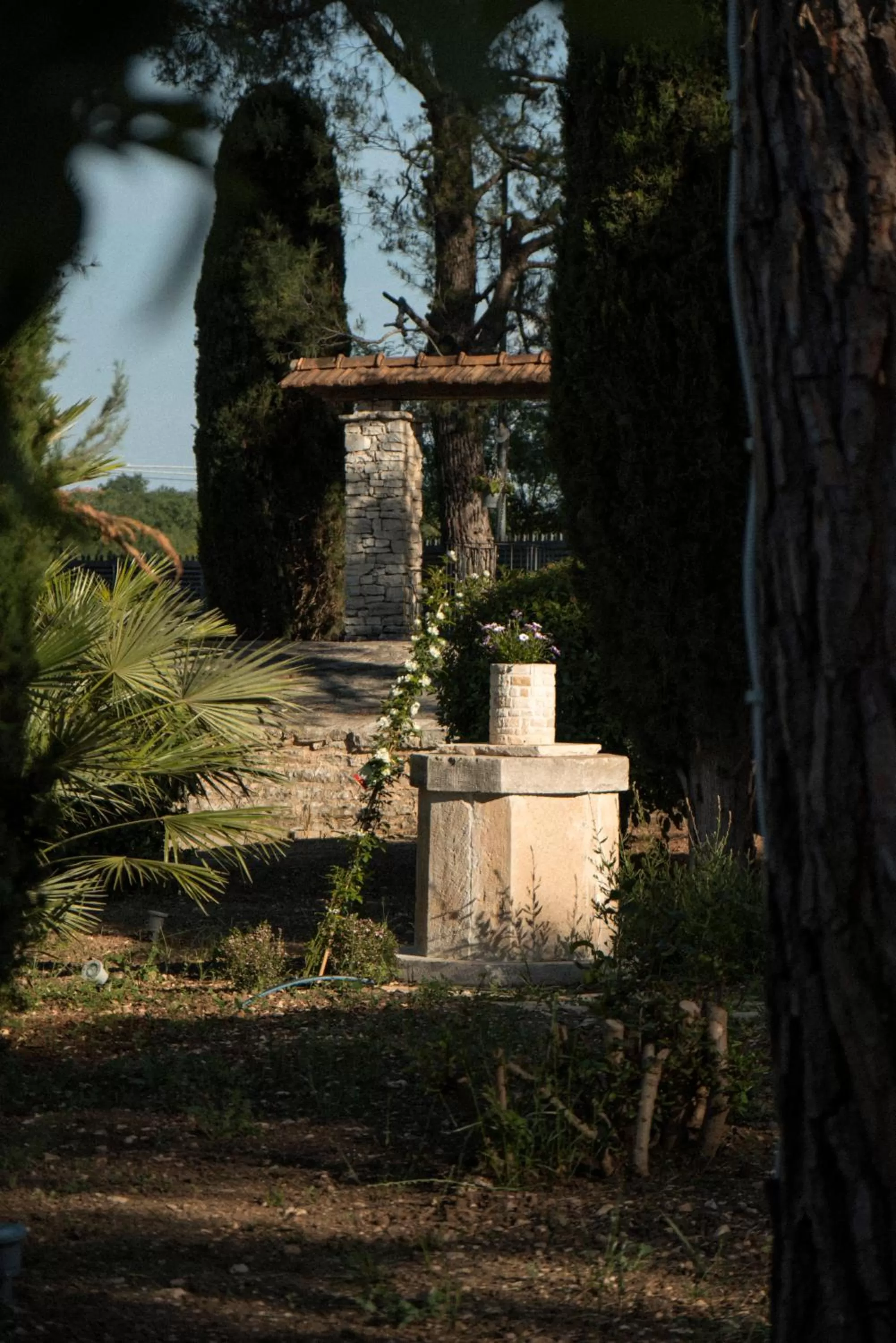 Garden in Otto Apulia House