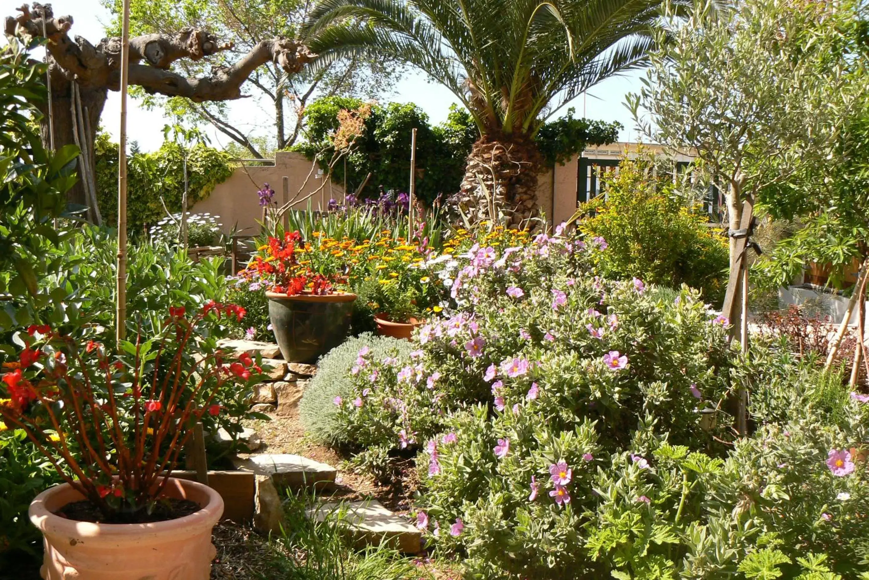 Garden view, Garden in L' Escale Tranquille