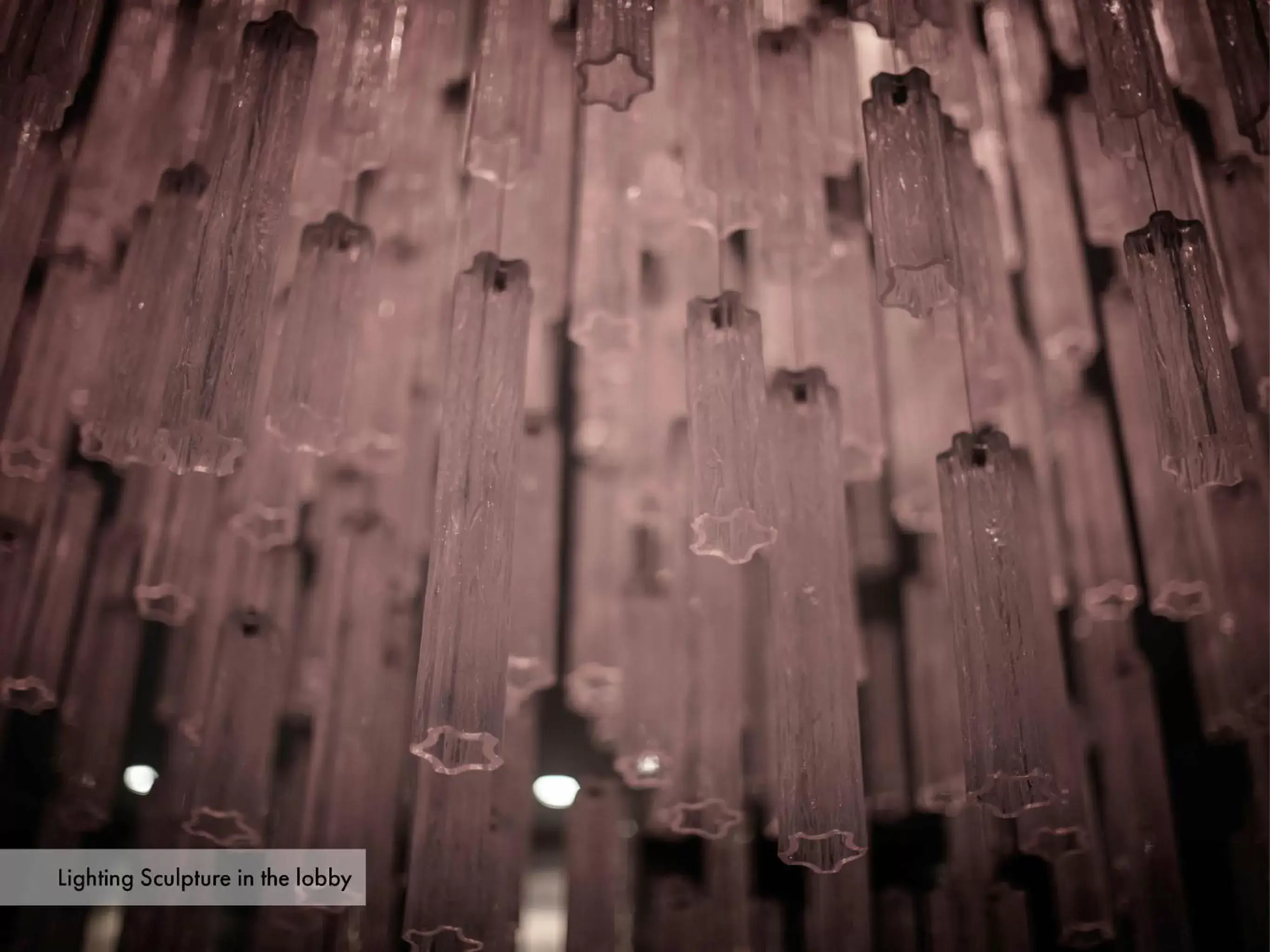 Lobby or reception in Grischa - Das Hotel Davos Lobby or reception in Grischa - Das Hotel Davos